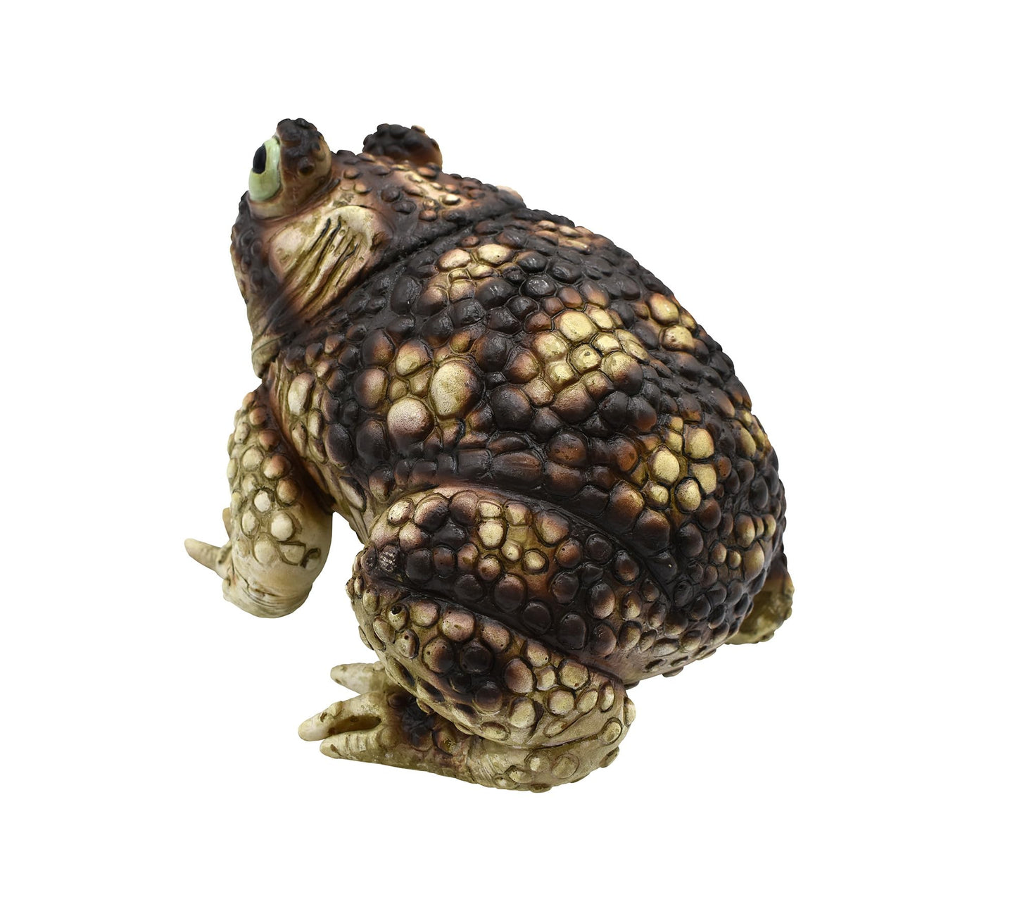 Nicky Bigs Novelties Giant Rubber Toad Prop Decoration, Multi, 25cm Long