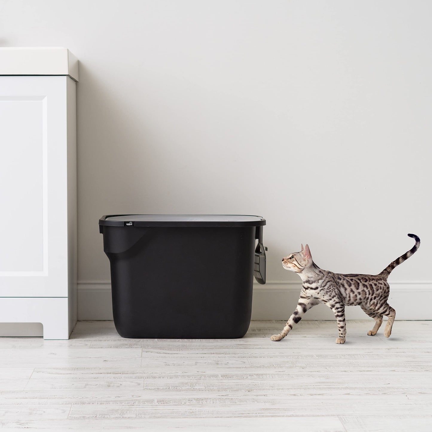 IRIS USA Caja de Arena para Gatos Rectangular de Entrada Superior con Paleta, Grande, Caja de Arena para Gatitos, Blanco/Gris