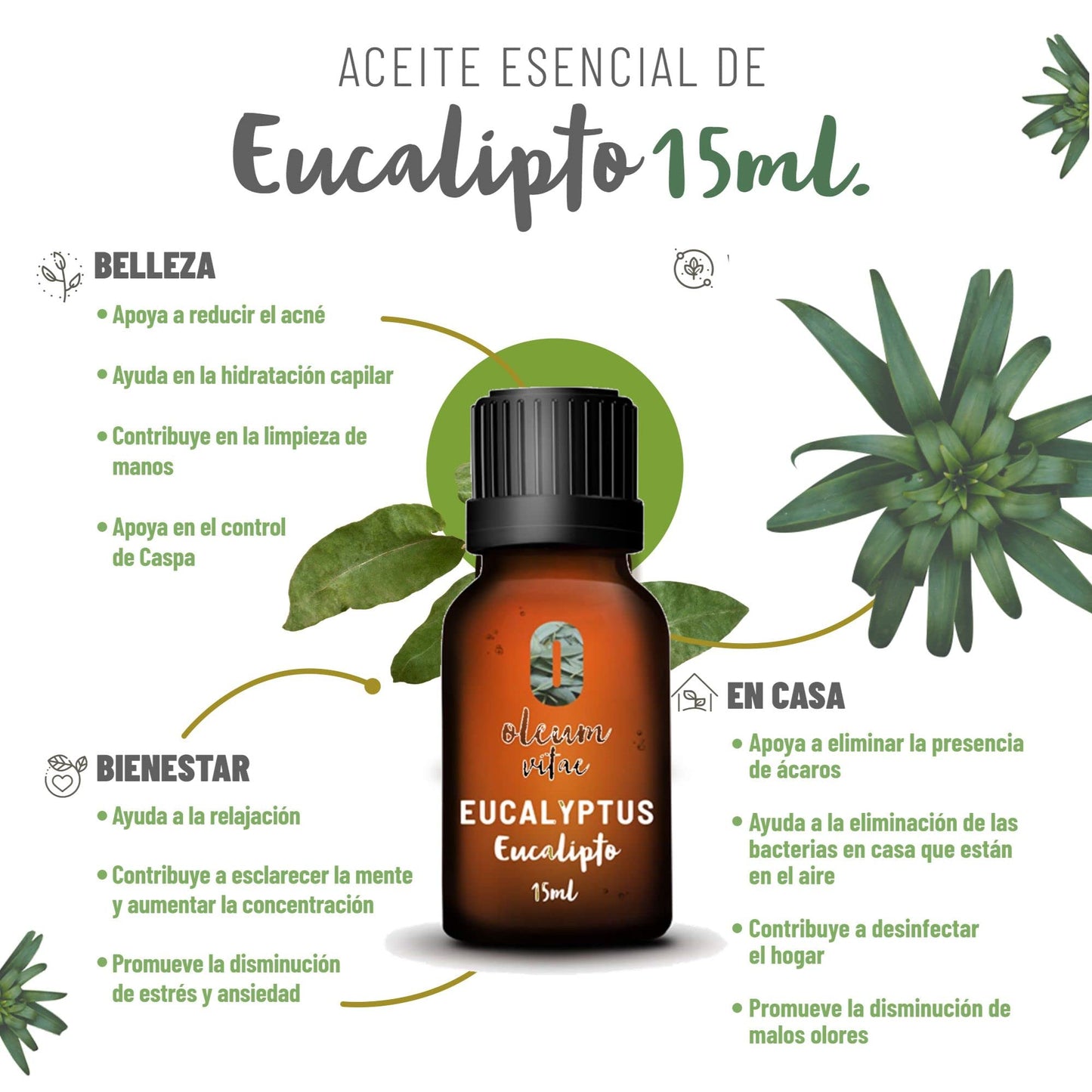 Aceite Esencial OLEUM VITAE Eucalipto Puro Orgánico 15 ml Certificado USDA ORGANIC Hecho en India