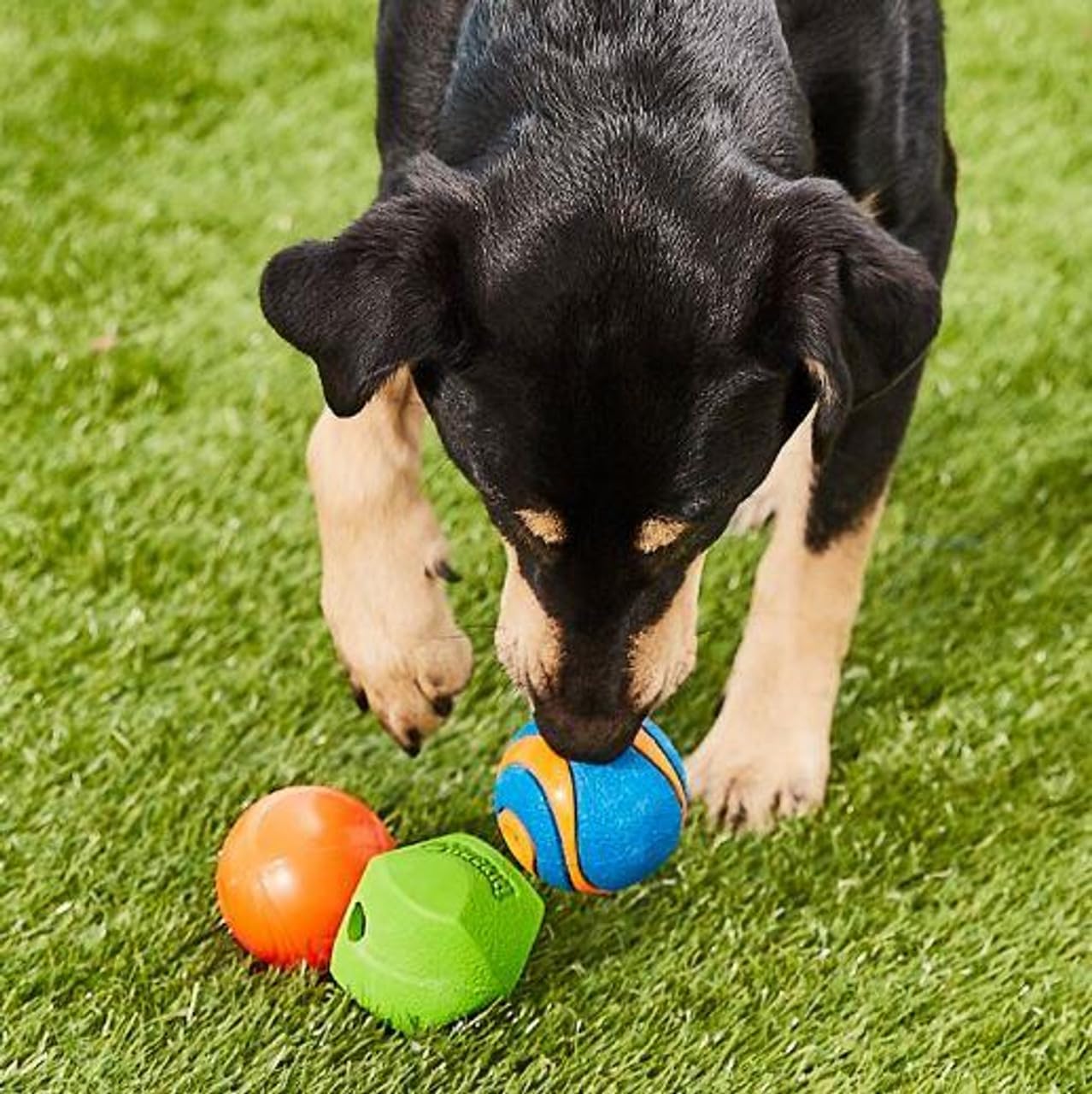 Chuckit! Fetch Ball Medley 2, Medium, Dog Ball, 3 Pack, Ultra, Fetch and Rugged Balls Included