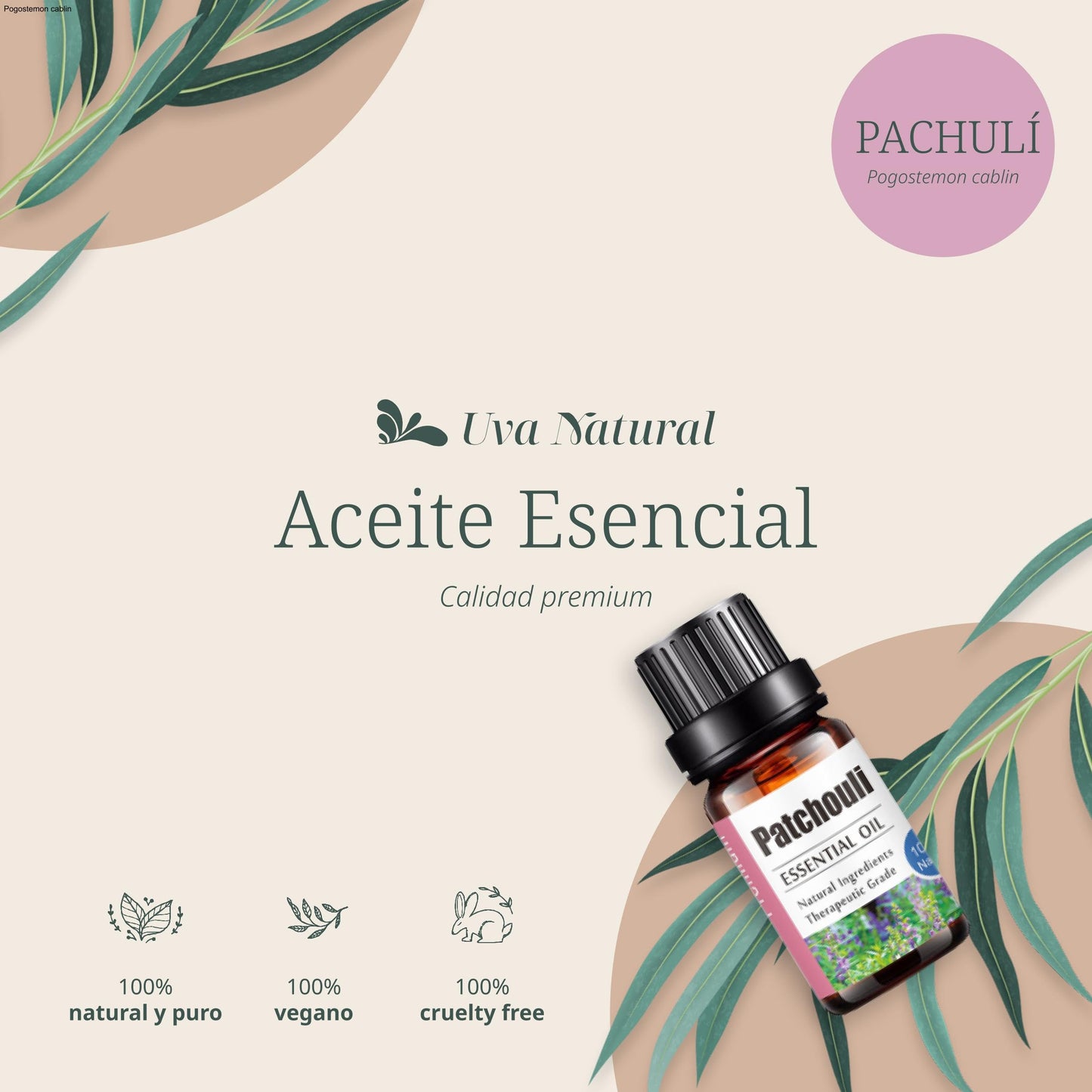 Aceites Esenciales Pachuli Natural UVa Natural 10 ML Aromaterapia Conjunto de Difusores y Humidificadores con Caja de Regalo