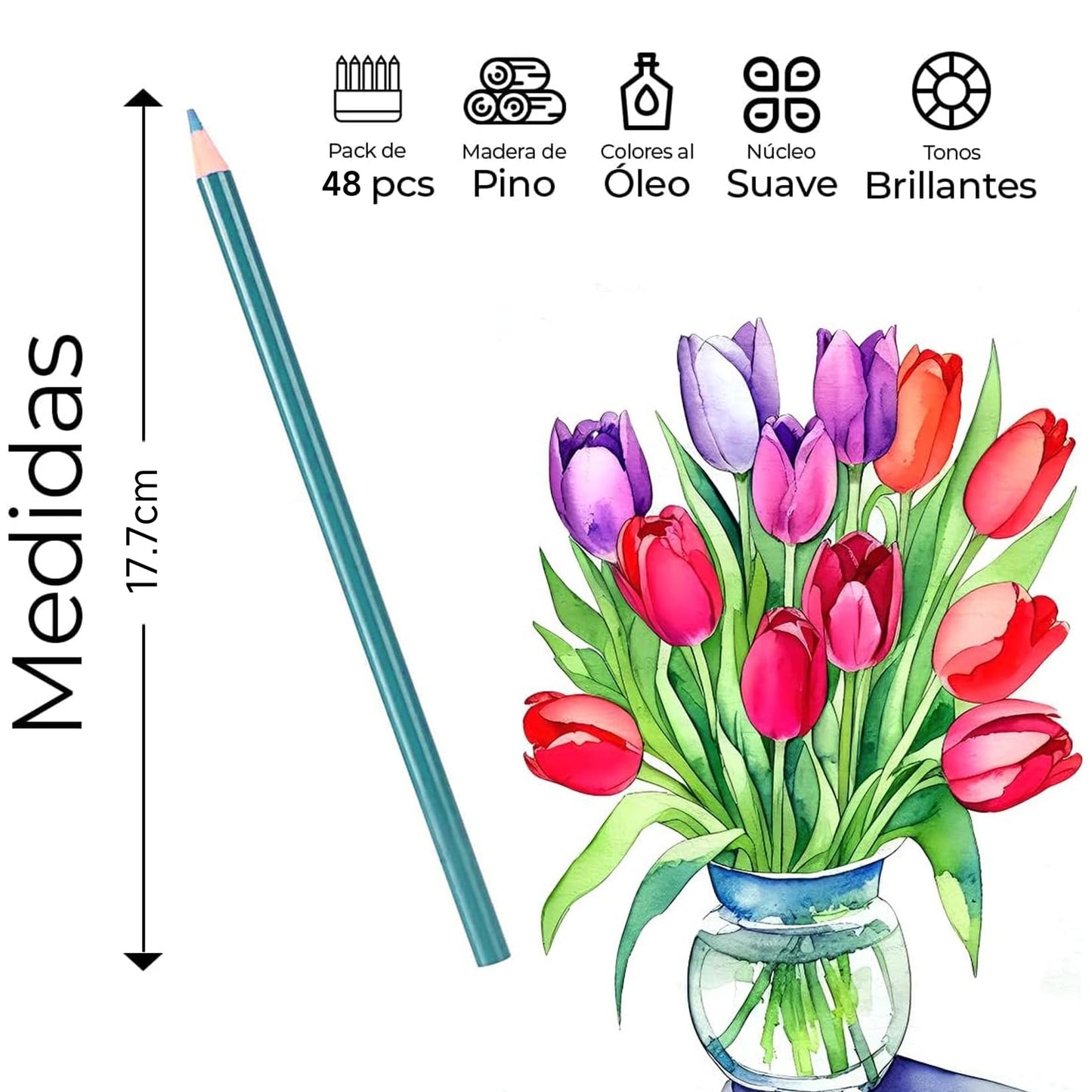 Juego de Lápices de Colores - 48 Lapices de Colores Profesionales, Kit Profesional de Dibujo en Color, Dibujo de Arte, Regalo Perfecto para Niño, Amante de La Pintura, Principiantes Y Artistas