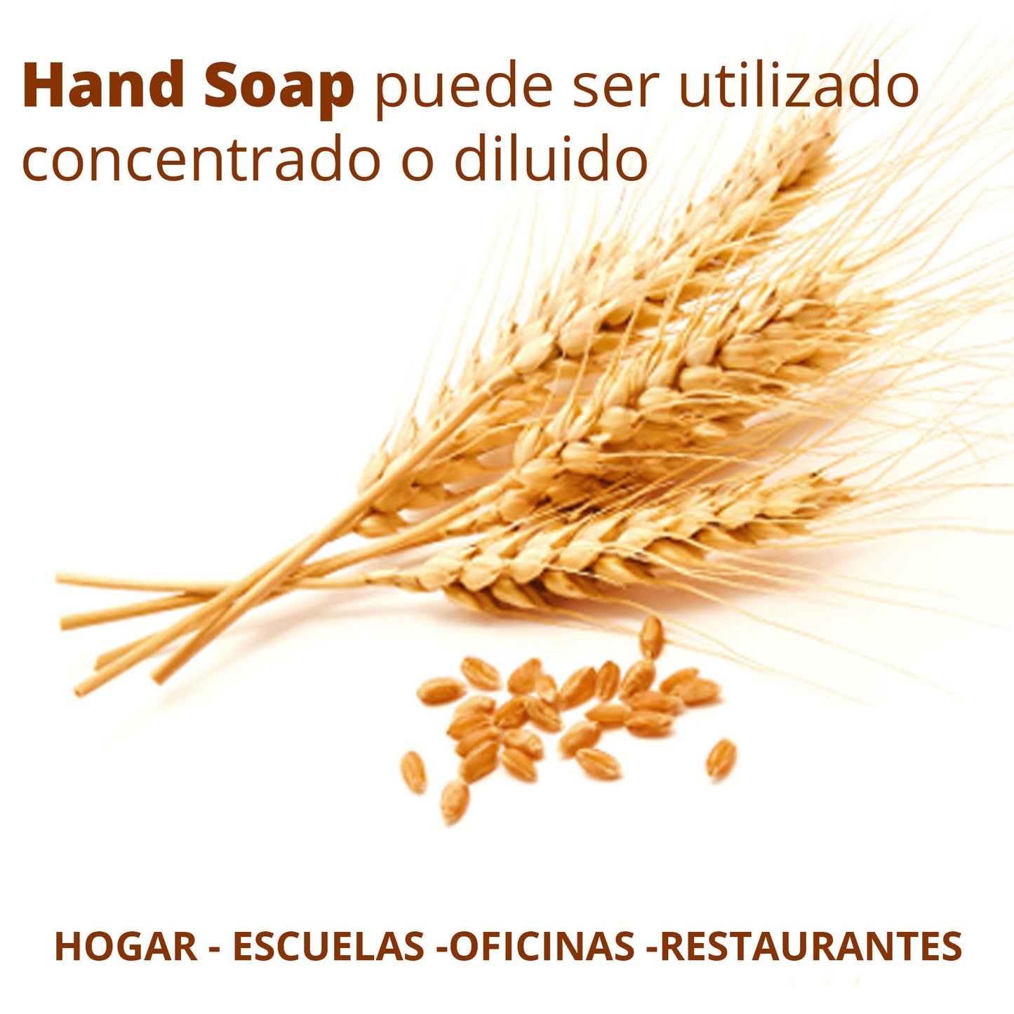 Hand Soap 5 Lts | Jab?n L?quido para Manos y Cuerpo Biodegradable sin Parabenos Fosfatos y Colorantes con Emolientes y Humectantes Aromatizado con Aceite Esencial de Germen de Trigo que Aporta