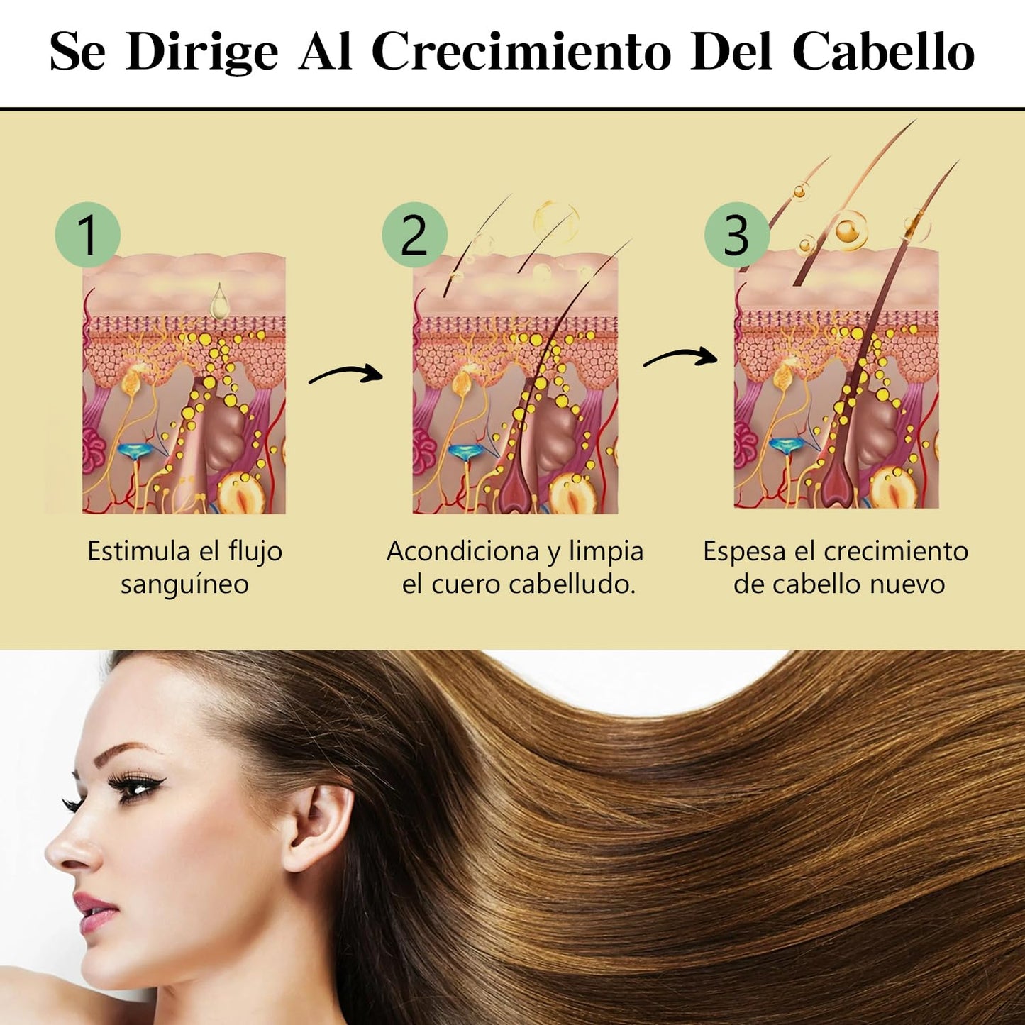 Conjunto Orgánico de Aceite de Romero para el Crecimiento del Cabello - Reducción de la Caída y Protección de la Salud Capilar. Tratamiento Natural para Estimular el Crecimiento y Fortalecer el Pelo. ¡Atrévete a Lucir una Melena Sana y Radiante!
