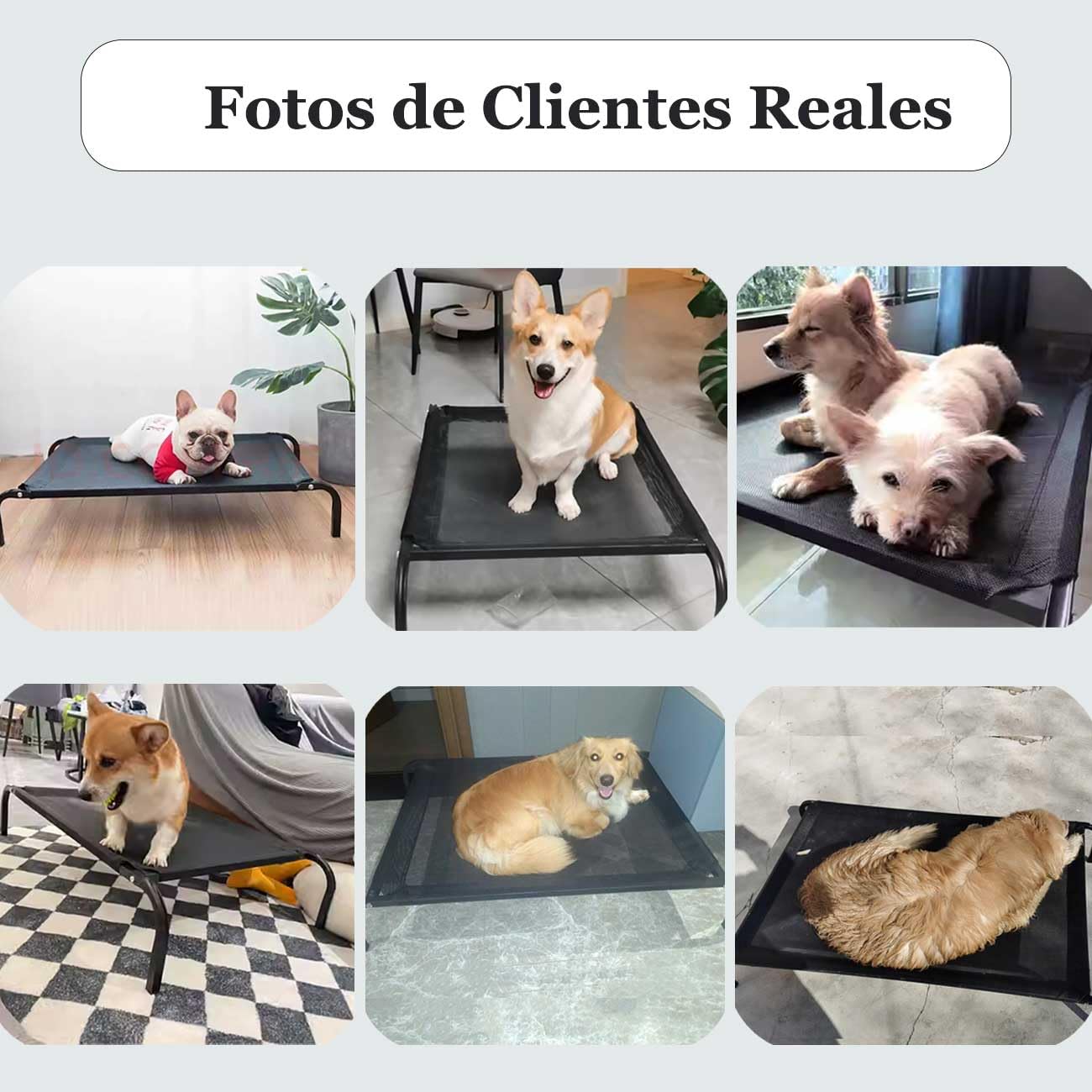 DYNAFIRE Cama para Perro, Cama Elevada para Perro de Antideslizante, con 2 Malla de Transpirable y Lavable. Cama Portátil Mascota para Interior y Exterior. Color Negro