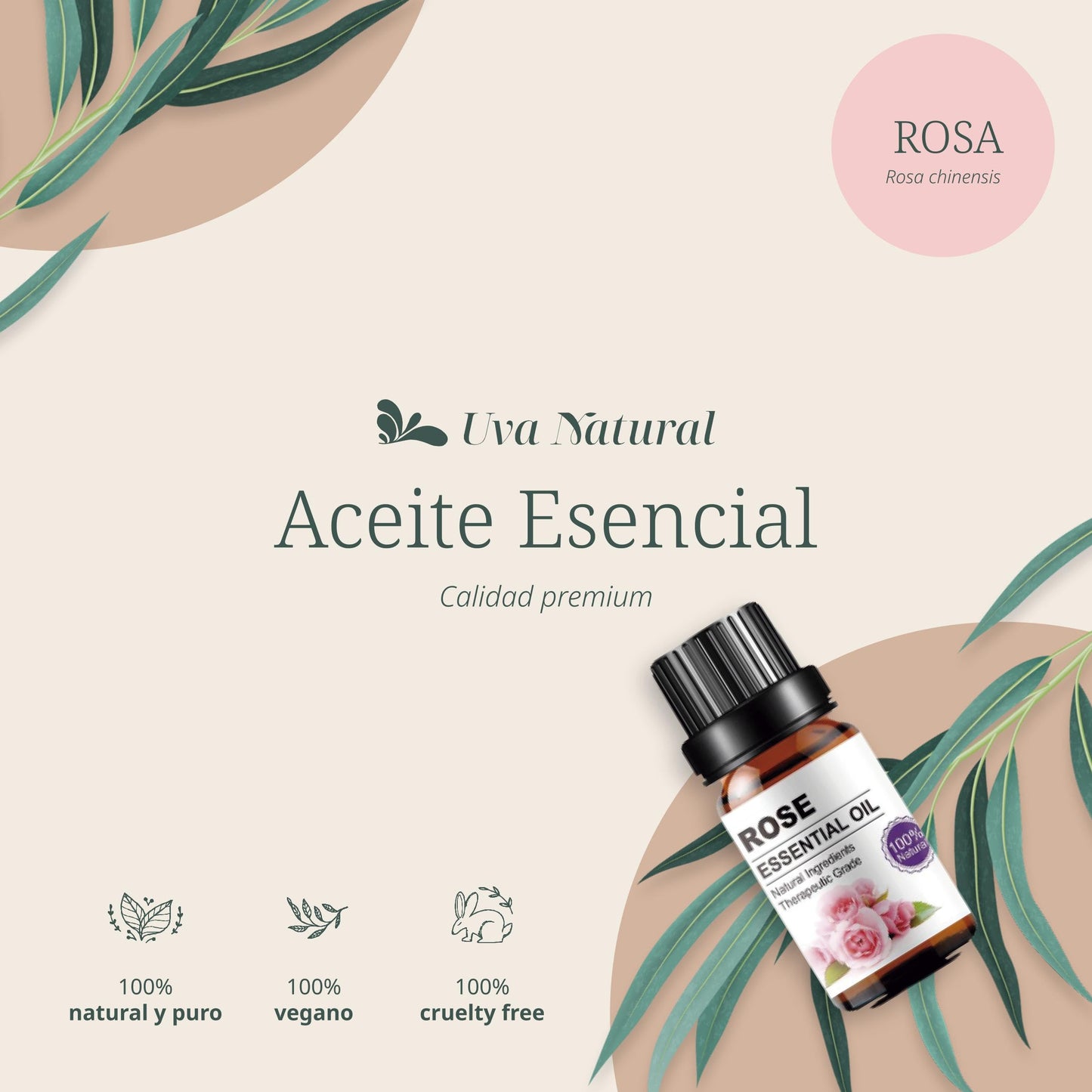 Aceites Esenciales Aromaterapia Rosas 100% Natural con Difusores y Humidificadores UVA Natural