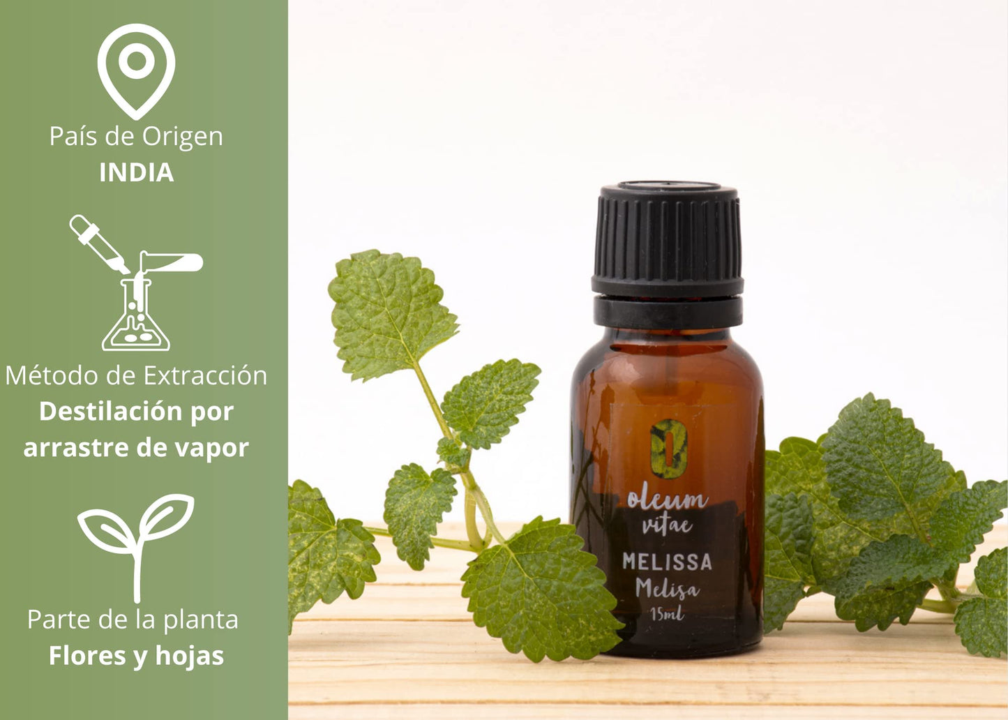Aceite Esencial Oleum Vitae Melisa 100% Puro y Orgánico Certificado UK 15ml