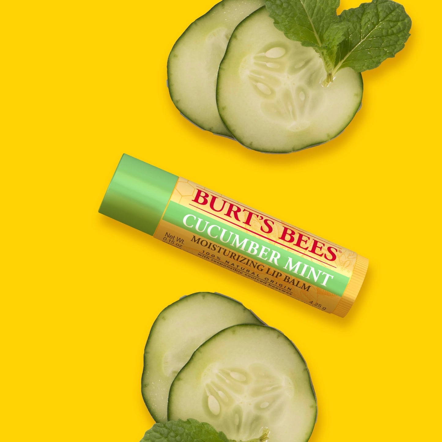 Burt's Bees Kit Freshly Picked Lip Balm 4 unidades