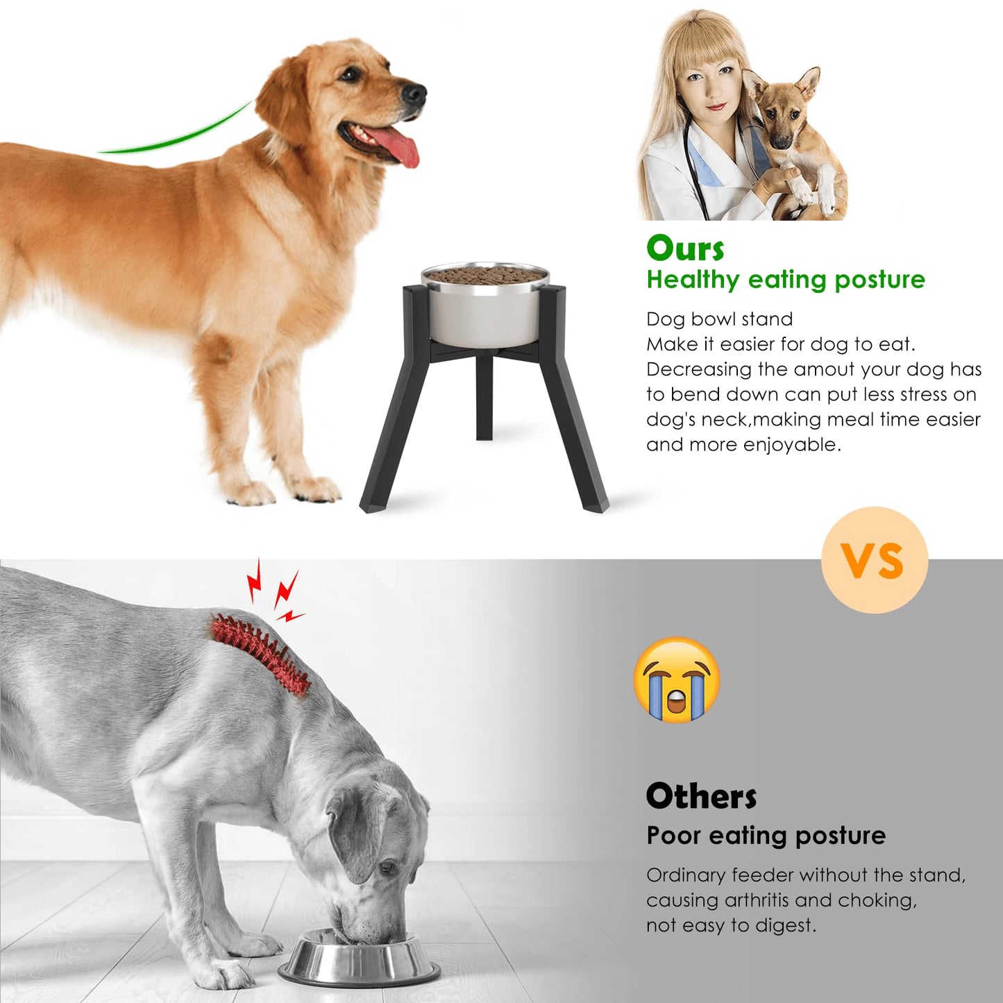 Soporte para Cuencos TIDANT Ajustable y Elevado para Perros Medianos y Grandes