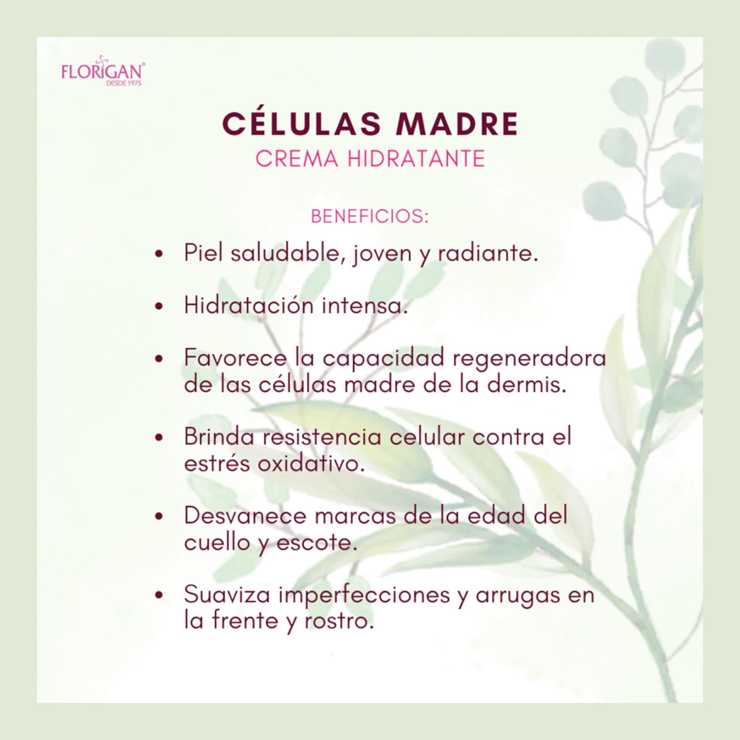 Crema Hidratante Versátil CÉLULAS MADRE 110grs. FLORIGAN