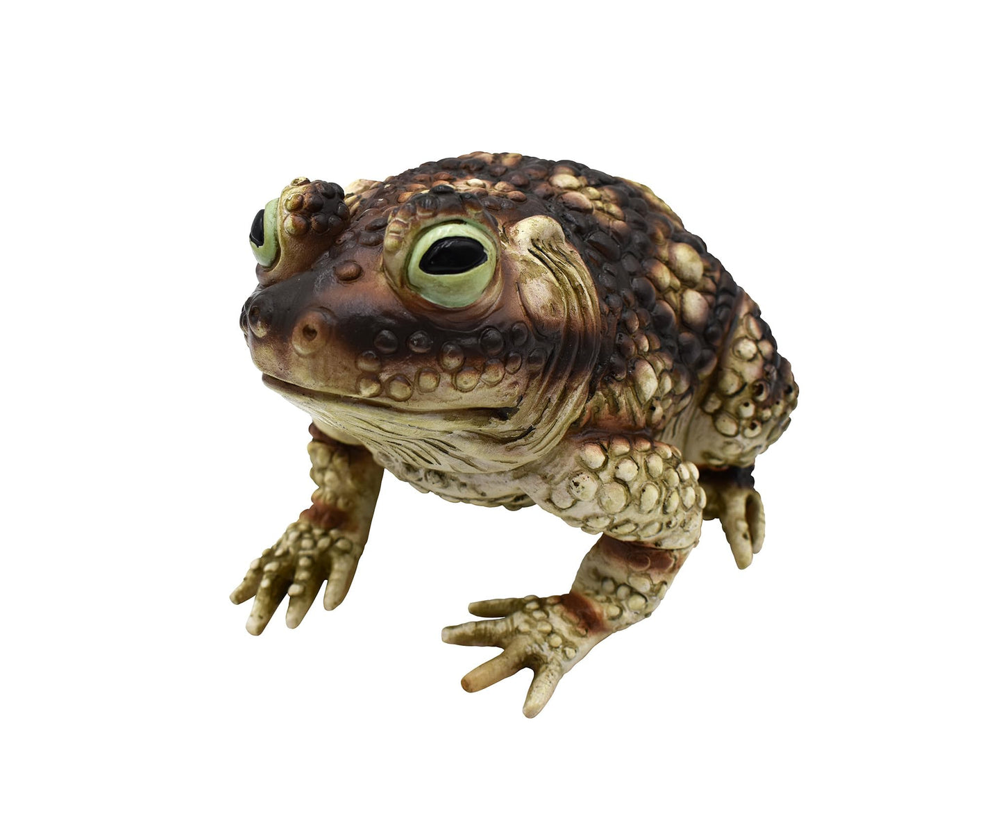 Nicky Bigs Novelties Giant Rubber Toad Prop Decoration, Multi, 25cm Long