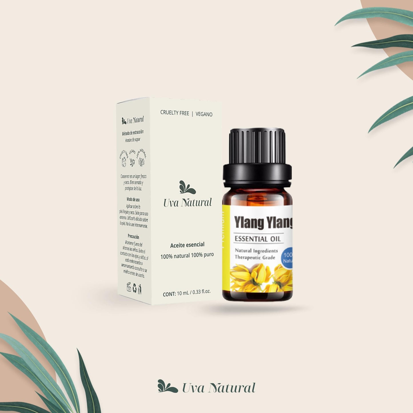 Aceites Esenciales Ylang Ylang Natural UVa Natural Conjunto de Difusores y Humidificadores 10 ML con Caja de Regalo