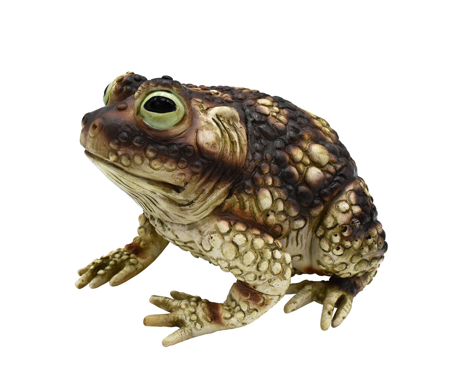 Nicky Bigs Novelties Giant Rubber Toad Prop Decoration, Multi, 25cm Long