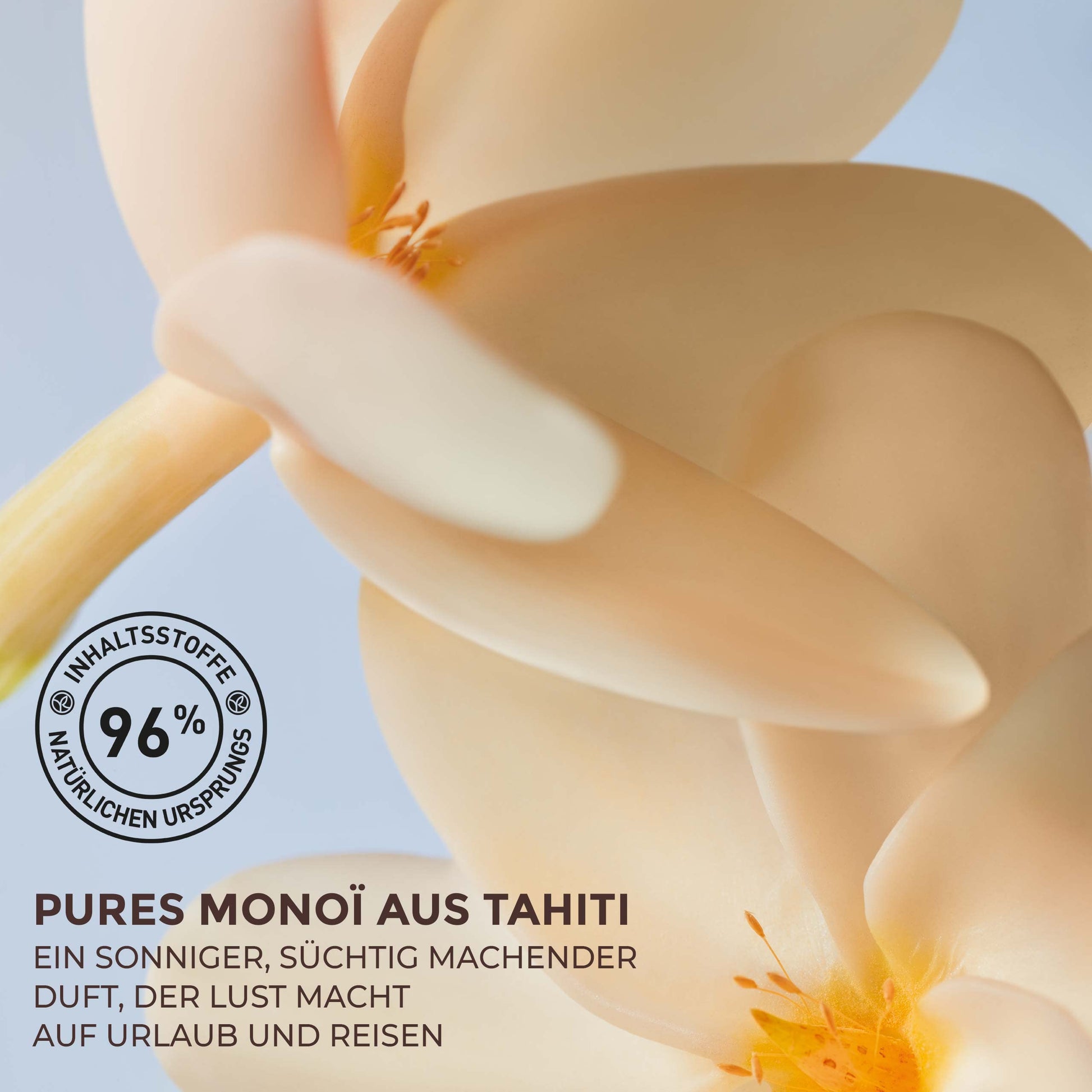 Exfoliante Corporal Yves Rocher Monoi de Tahiti para Ablandar la Piel y Eliminar Células Muertas