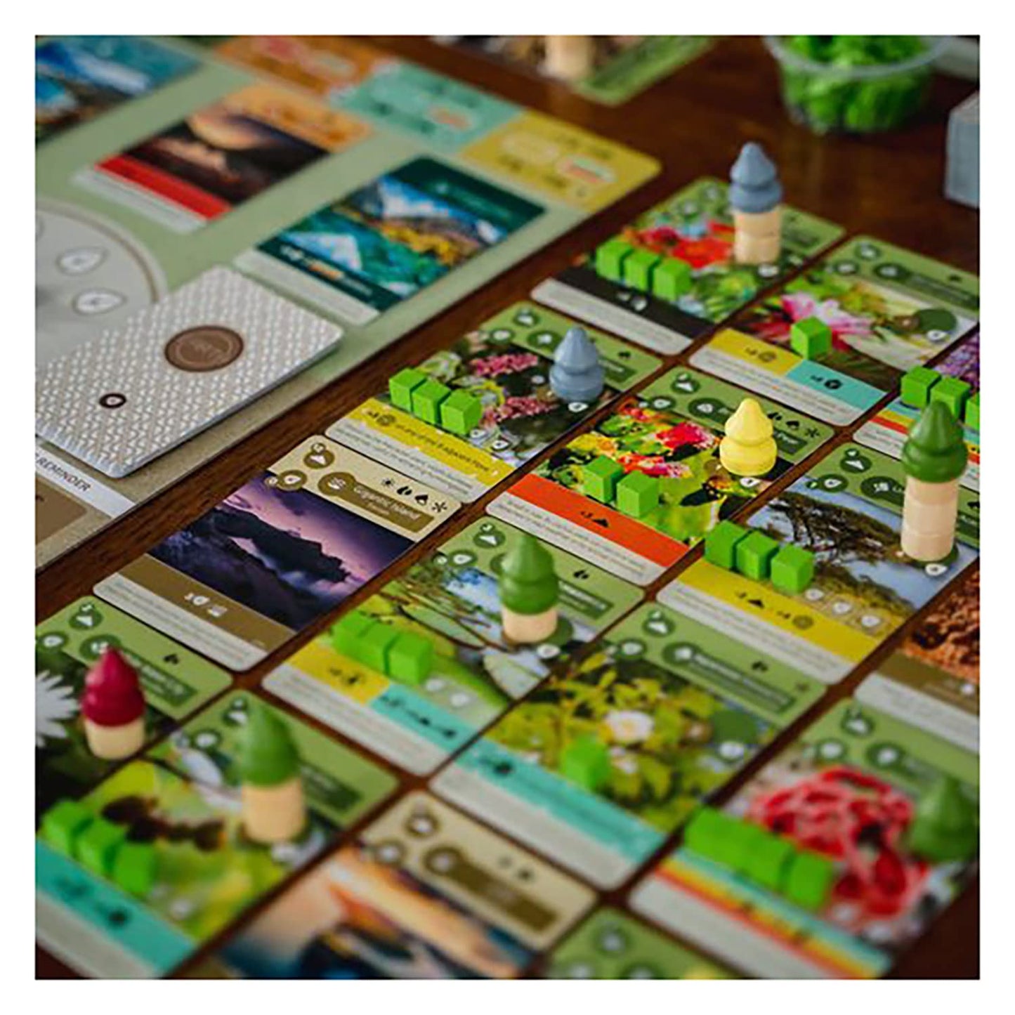 Earth - The Board Game by Inside Up Games & Maxime Tardif, Ecosystem Building, Card Drafting & Action Selecting, for 1 to 5 Players, Play Solo-Multiplayer-Teams, 45-90 Minute Playing Time