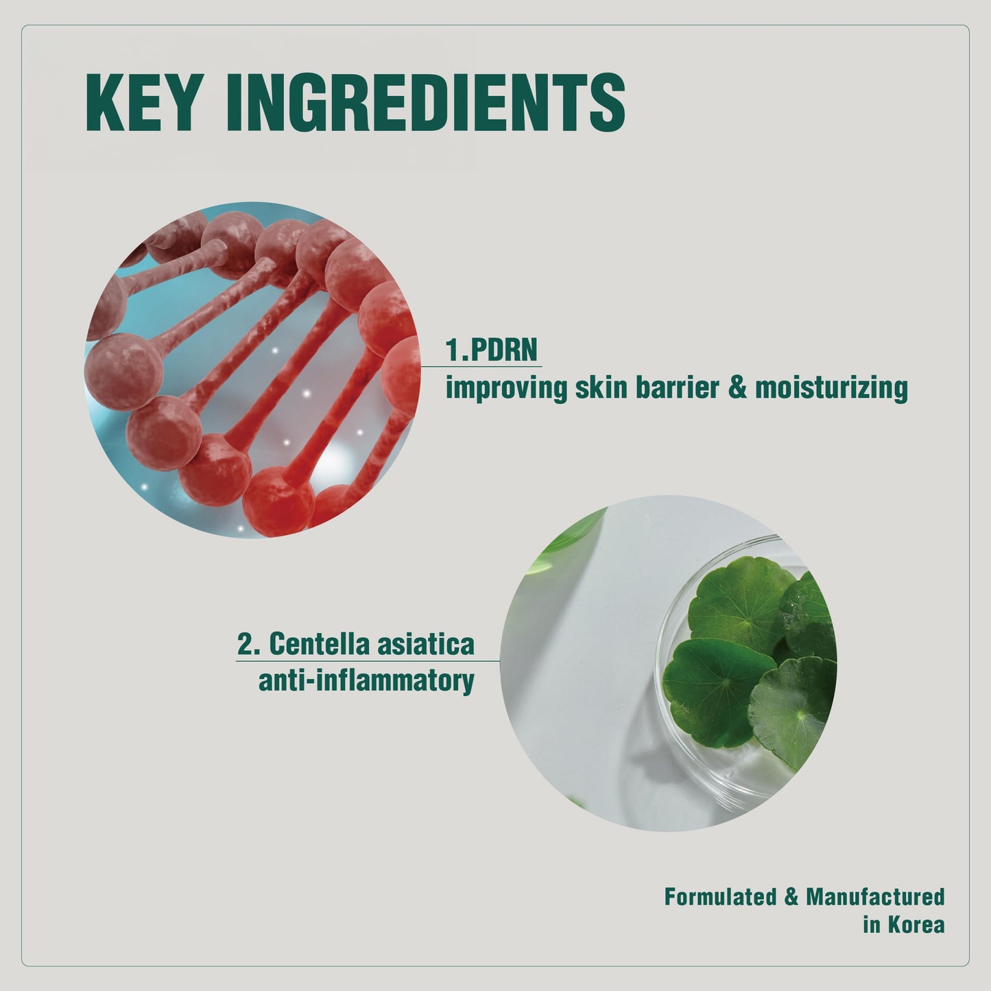 VQM- Crema de fitocina, crema humectante facial, humectante coreano para pieles propensas al acné, crema protectora y Wr