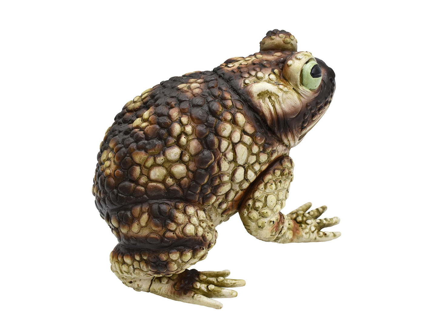 Nicky Bigs Novelties Giant Rubber Toad Prop Decoration, Multi, 25cm Long