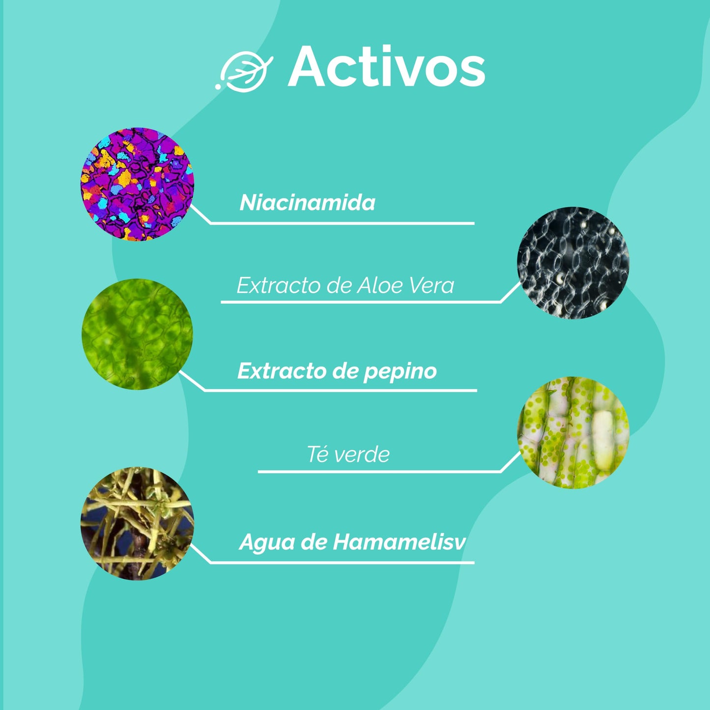 Seasons Love Your Skin Tratamiento con Niacinamida: Limpiador Facial en Espuma Detox + Serum Facial Niacinamida + Protector Solar FPS 50 Efecto Mate