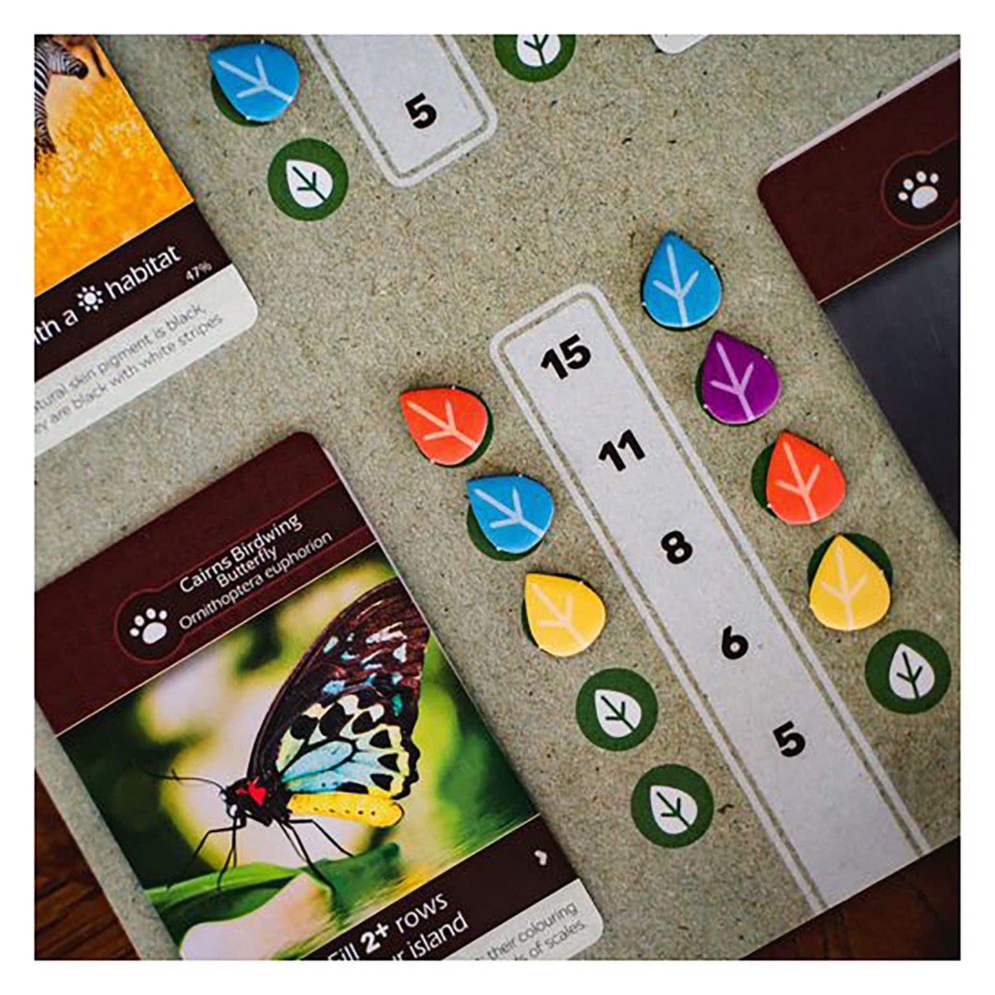 Earth - The Board Game by Inside Up Games & Maxime Tardif, Ecosystem Building, Card Drafting & Action Selecting, for 1 to 5 Players, Play Solo-Multiplayer-Teams, 45-90 Minute Playing Time