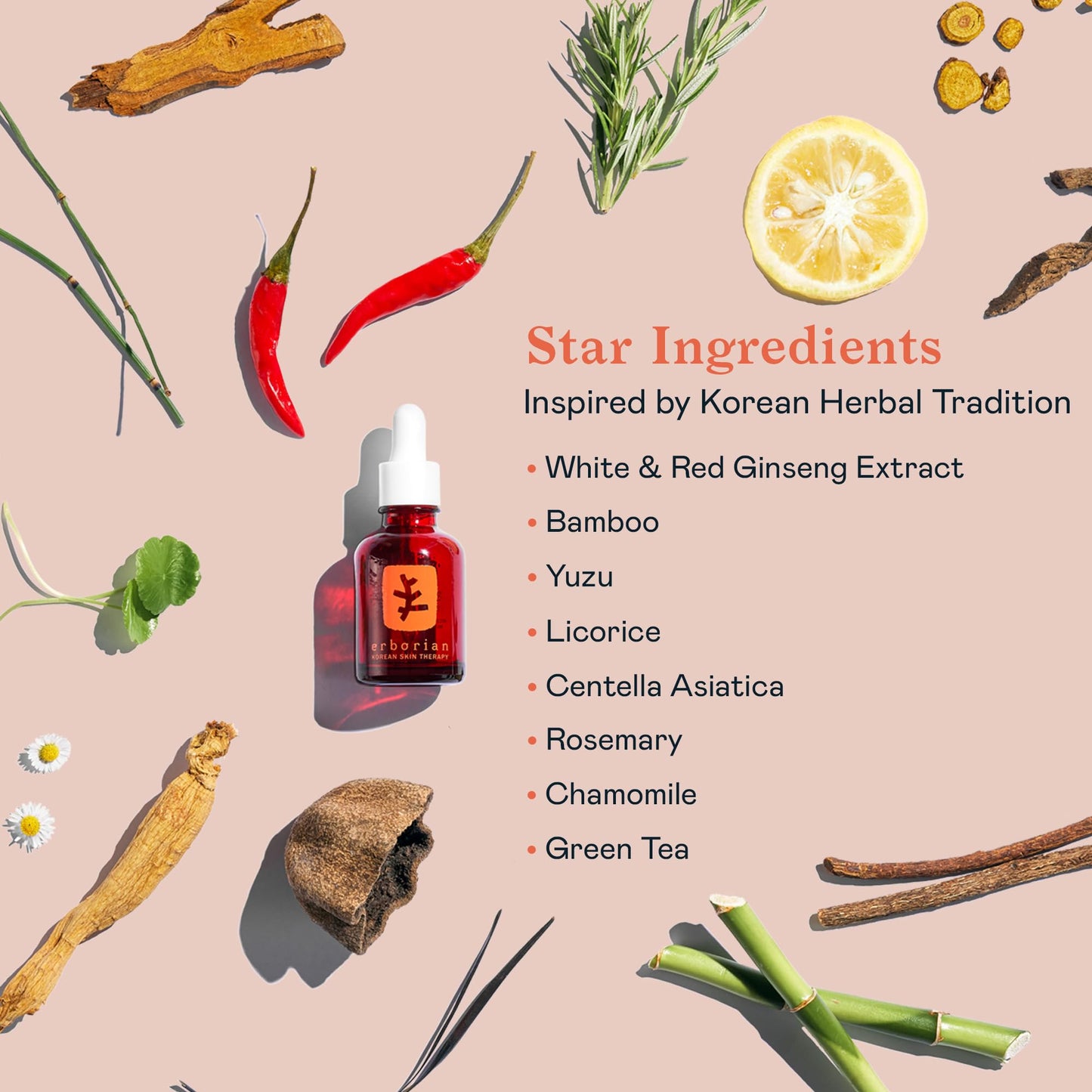 Skin Therapy Multi-Perfecting Bi-Phase Night Oil-Serum - Supercharged With 17 Ingredients -Targets 7 Skin Concerns, Improves Appearance of Fine Lines, Skin Texture, Complexion Evenness (0.33 Fl Oz)