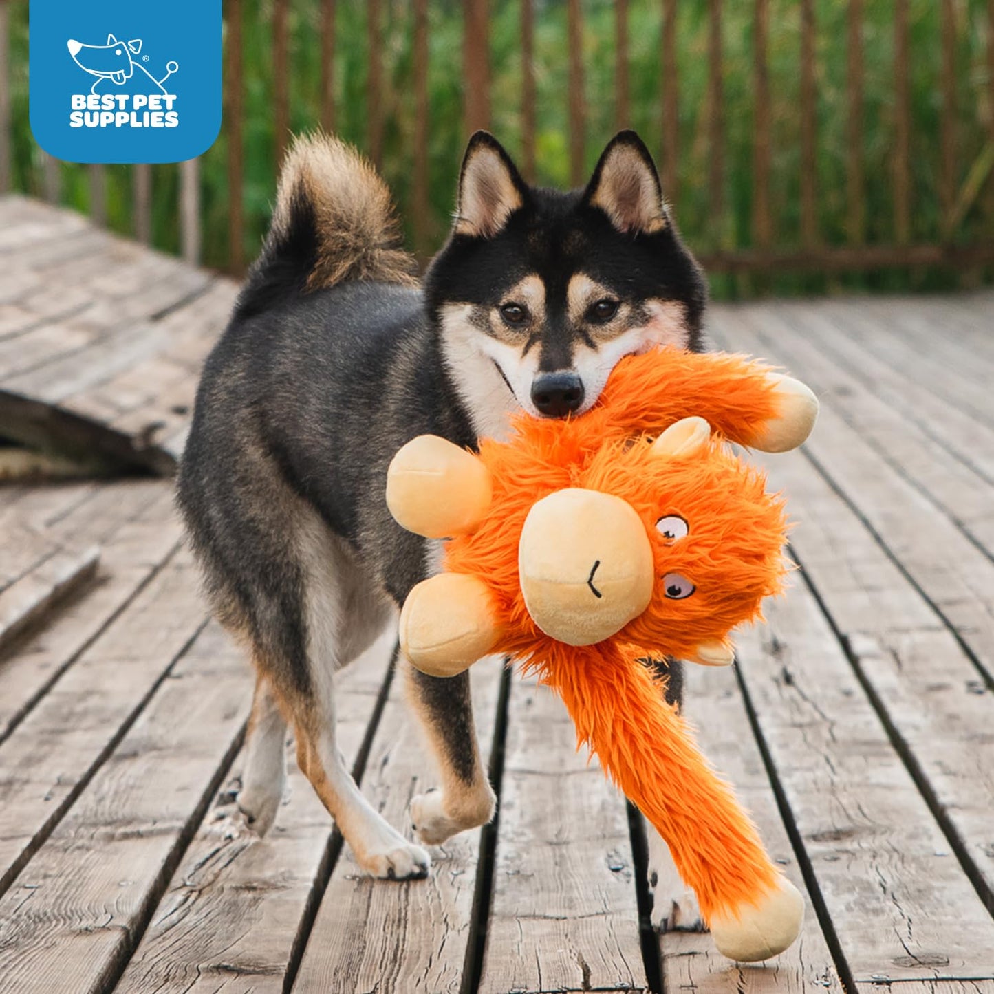 Best Pet Supplies O-Hug-Atan - Juguete Interactivo de Peluche chirriante para Cachorros o Perros de Raza pequeña y Mediana - O-Hug-Atan (Naranja)