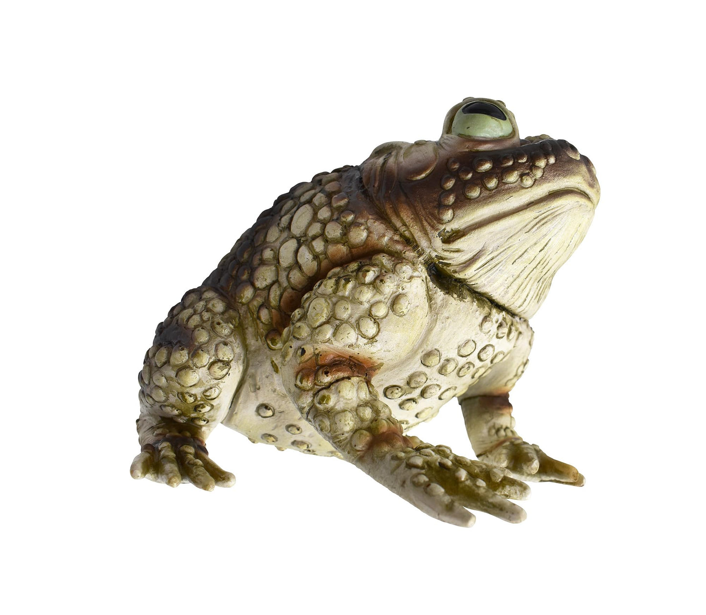 Nicky Bigs Novelties Giant Rubber Toad Prop Decoration, Multi, 25cm Long