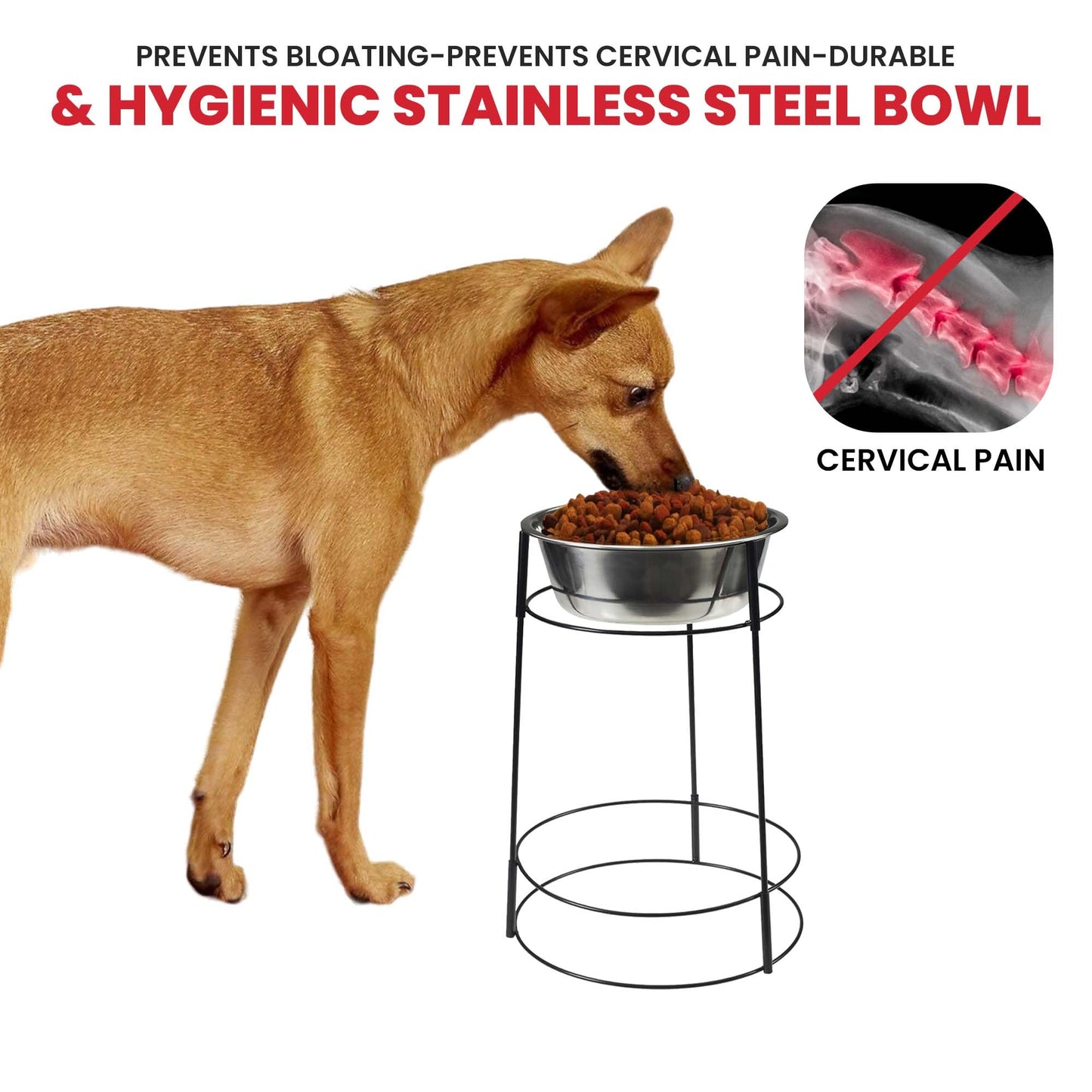 Ethical Pet Spot Hi-Rise Single Diner 2-Quart Pet Dish