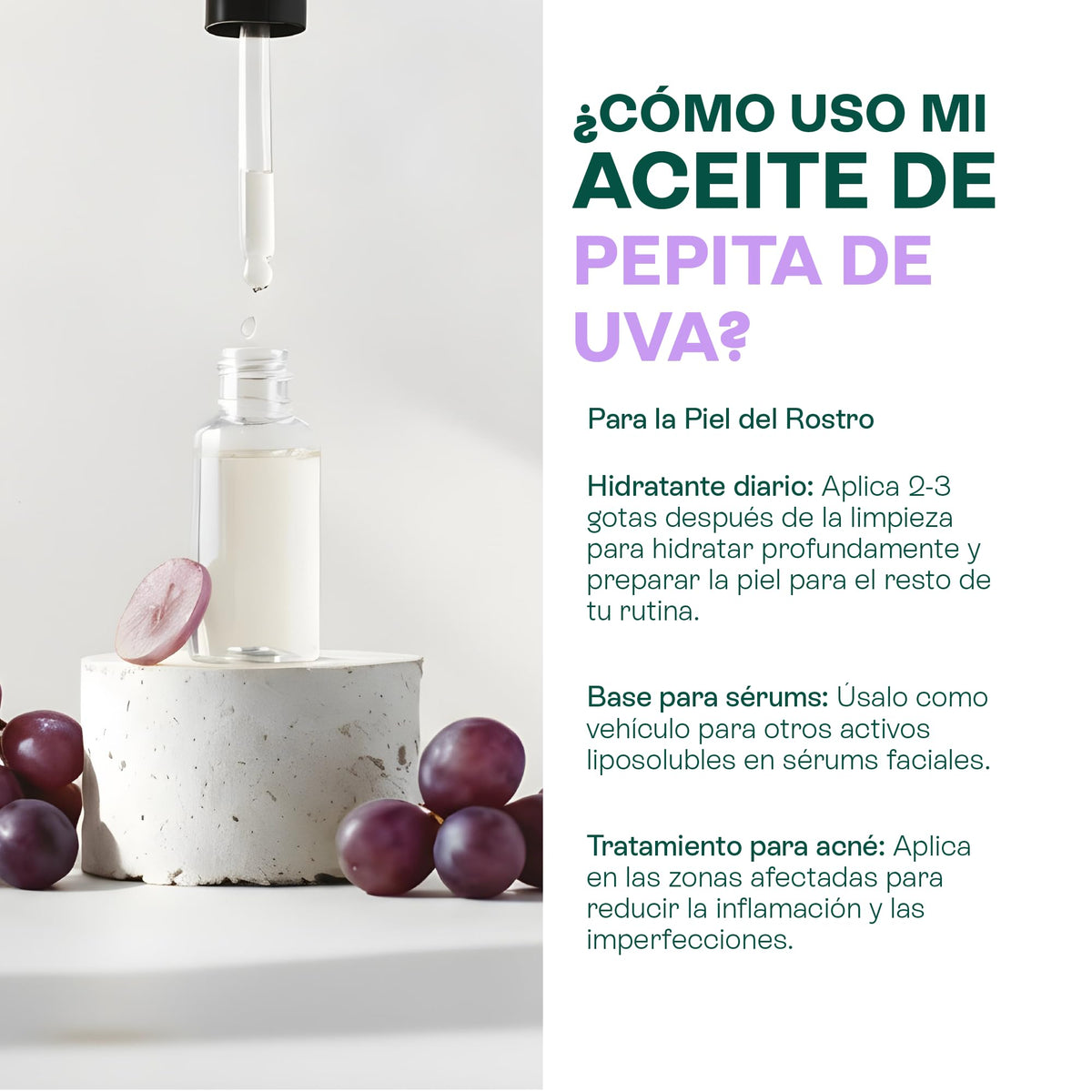 HEBBE | Aceite De Pepita De Uva 100 Ml | Antiedad Nutritivo Y Revitalizante | Rico En Antioxidantes | Ligero Y Ligeramente Astringente | Excelente Para Masajes