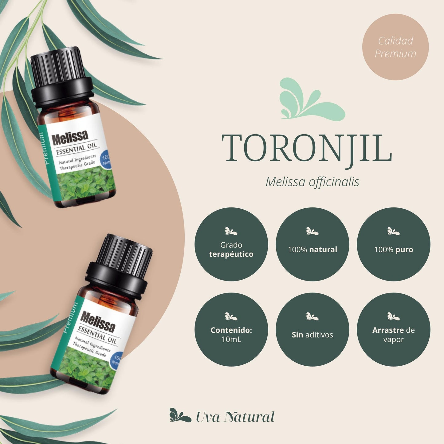 Aceites Esenciales UVA Natural Toronjil 100% Natural Aromaterapia con Caja de Regalo Exquisita