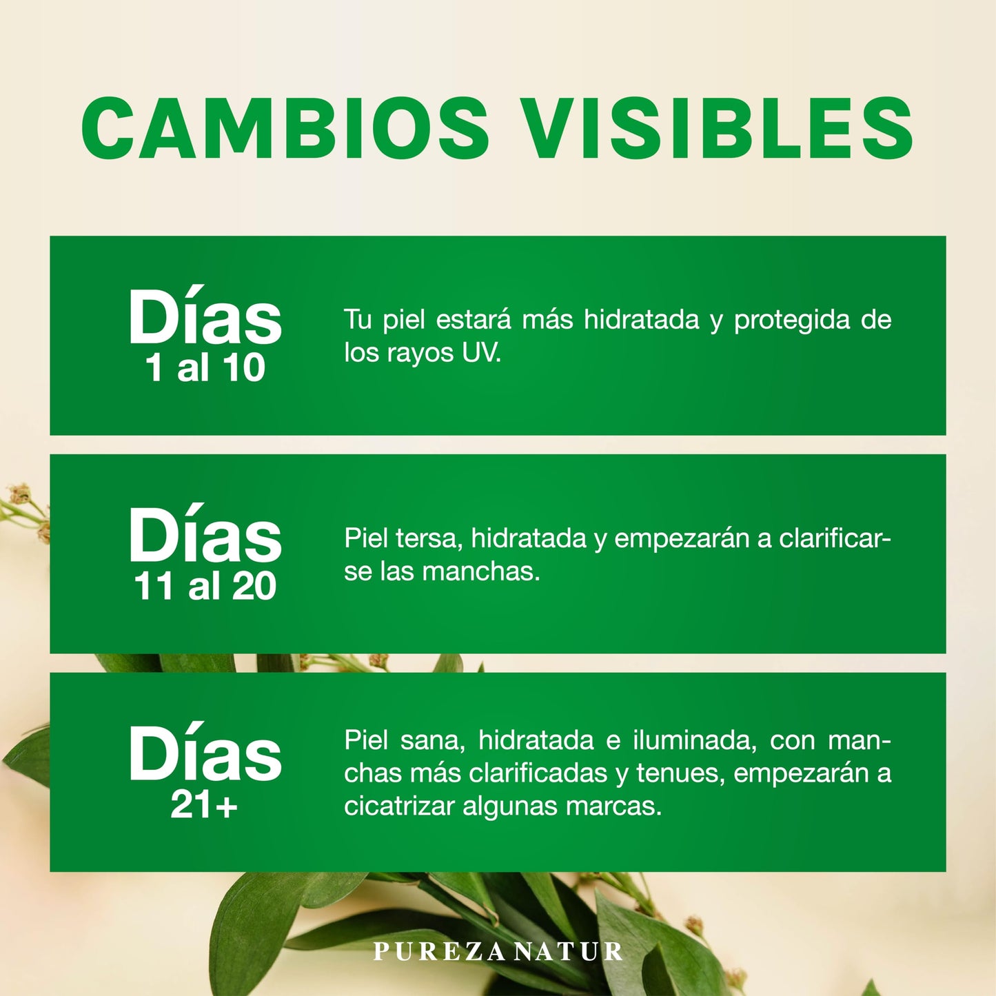 PUREZANATUR Pack Antimanchas Serum despigmentante y antimanchas intensivo + Crema aclarante | Paquete completo de serum para el cuidado de la piel, hidratación y rejuvenecimiento (Pack Antimanchas)