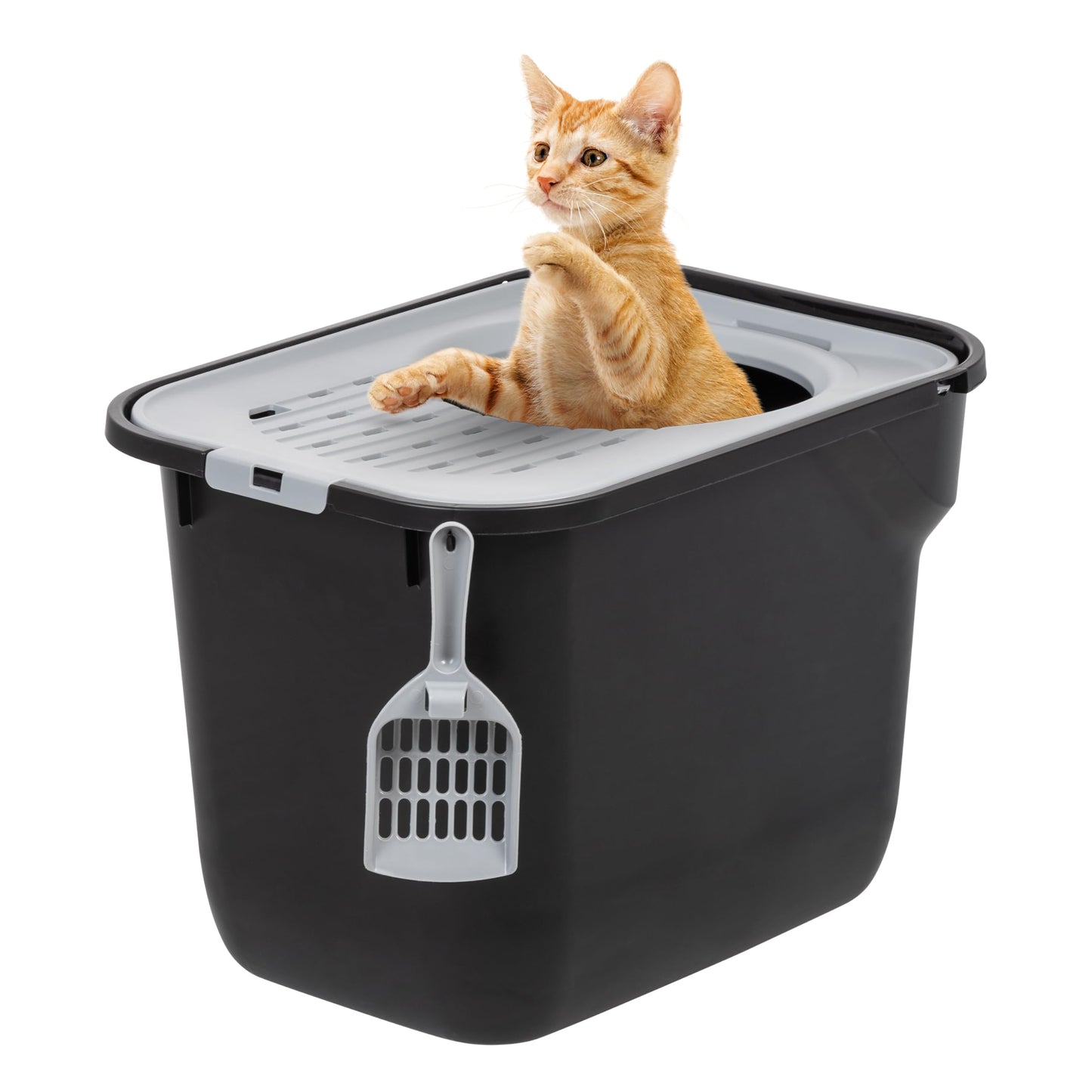 IRIS USA Caja de Arena para Gatos Rectangular de Entrada Superior con Paleta, Grande, Caja de Arena para Gatitos, Blanco/Gris
