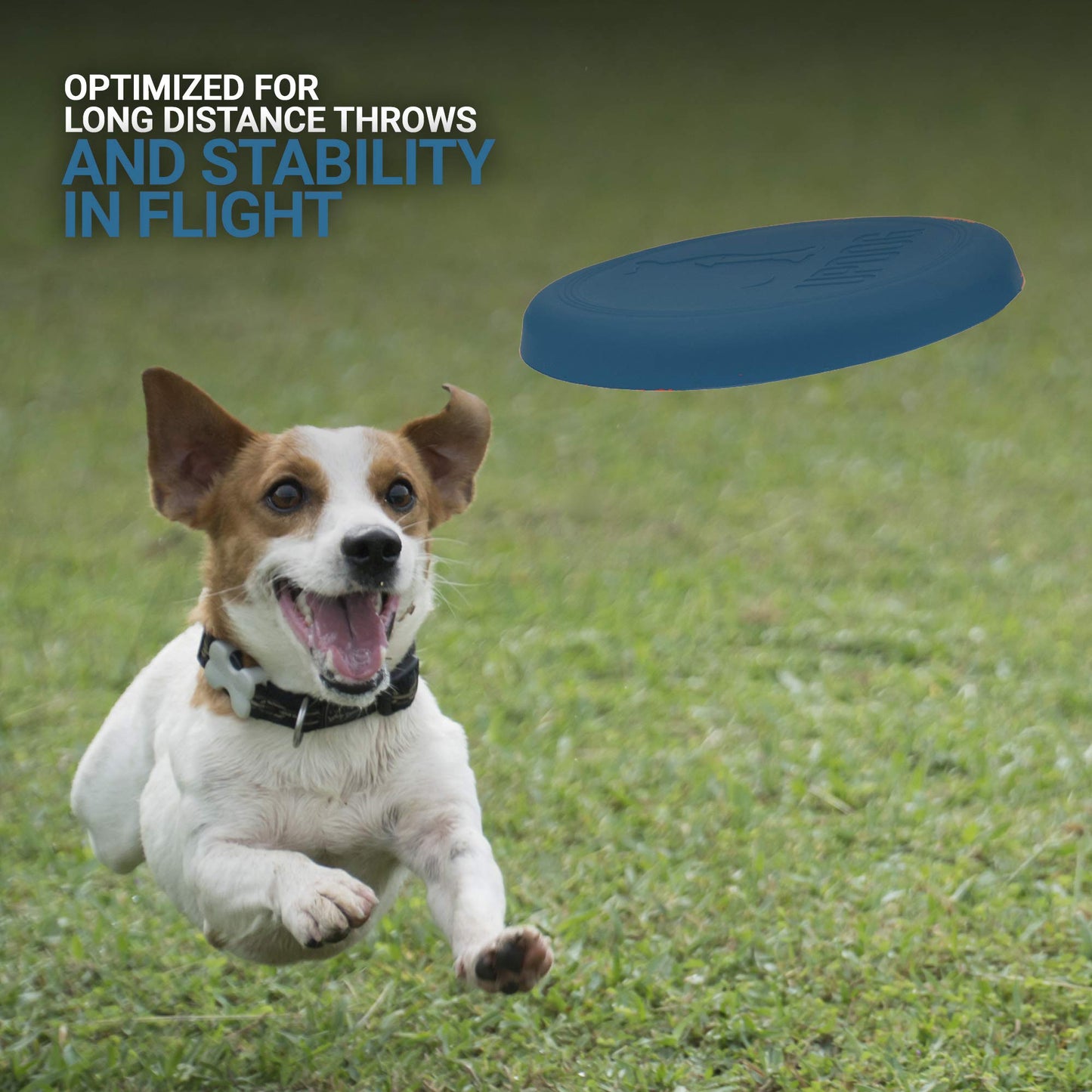 Frisbee para perros, fabricado en Estados Unidos, disco volador pequeño de 15,2 cm para perros (azul)