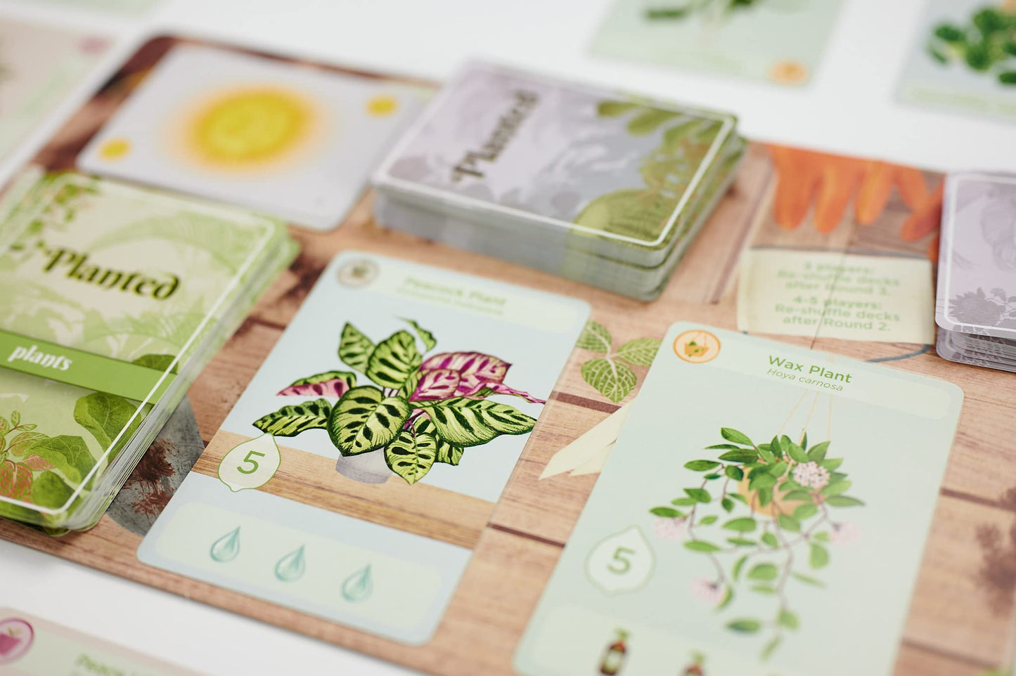 Buffalo Games - Plantado