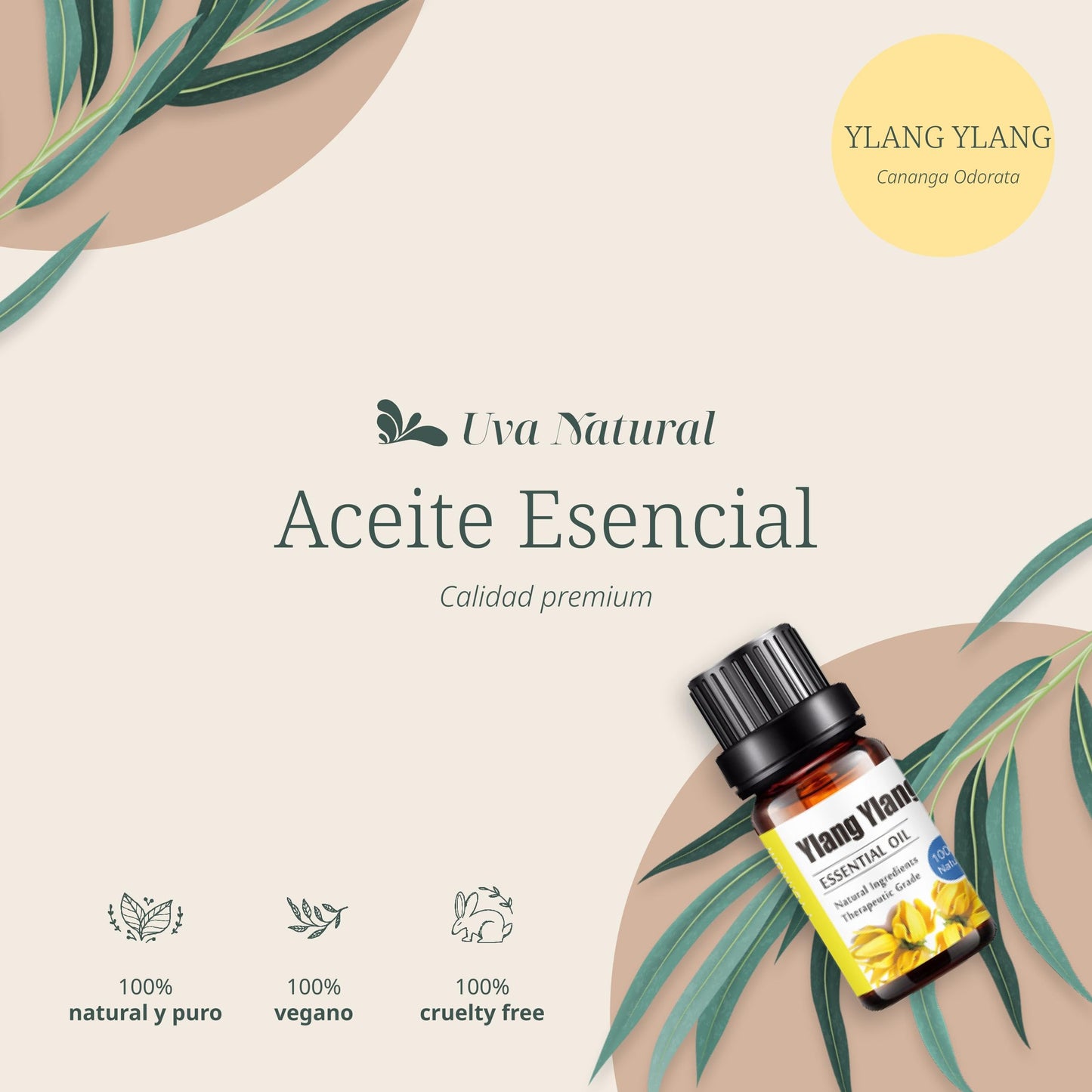 Aceites Esenciales Ylang Ylang Natural UVa Natural Conjunto de Difusores y Humidificadores 10 ML con Caja de Regalo
