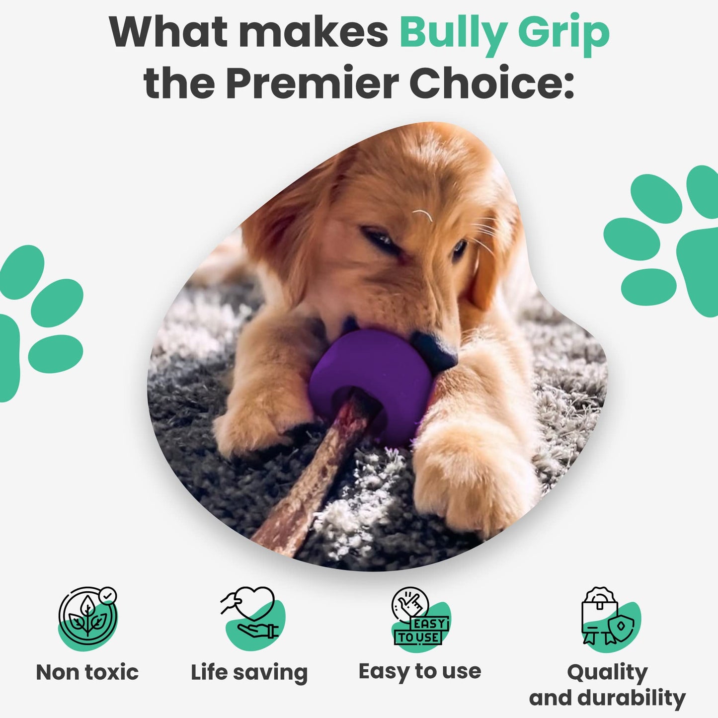 Bully Stick Holder – Tamaño mediano – Juguete interactivo para perro y dispositivo de seguridad para perro