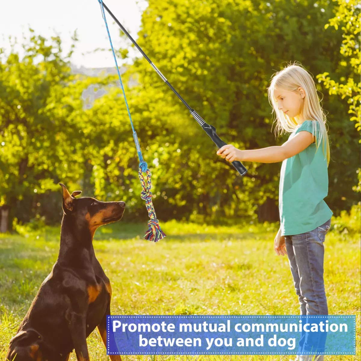 DIBBATU Juguete de poste de coqueteo para perros, varita interactiva para perros, tirón de guerra y ejercicio al aire última intervensión, juguete de señuelo de correa con cuerda de masticar para perseguir y entrenar para perros pequeños