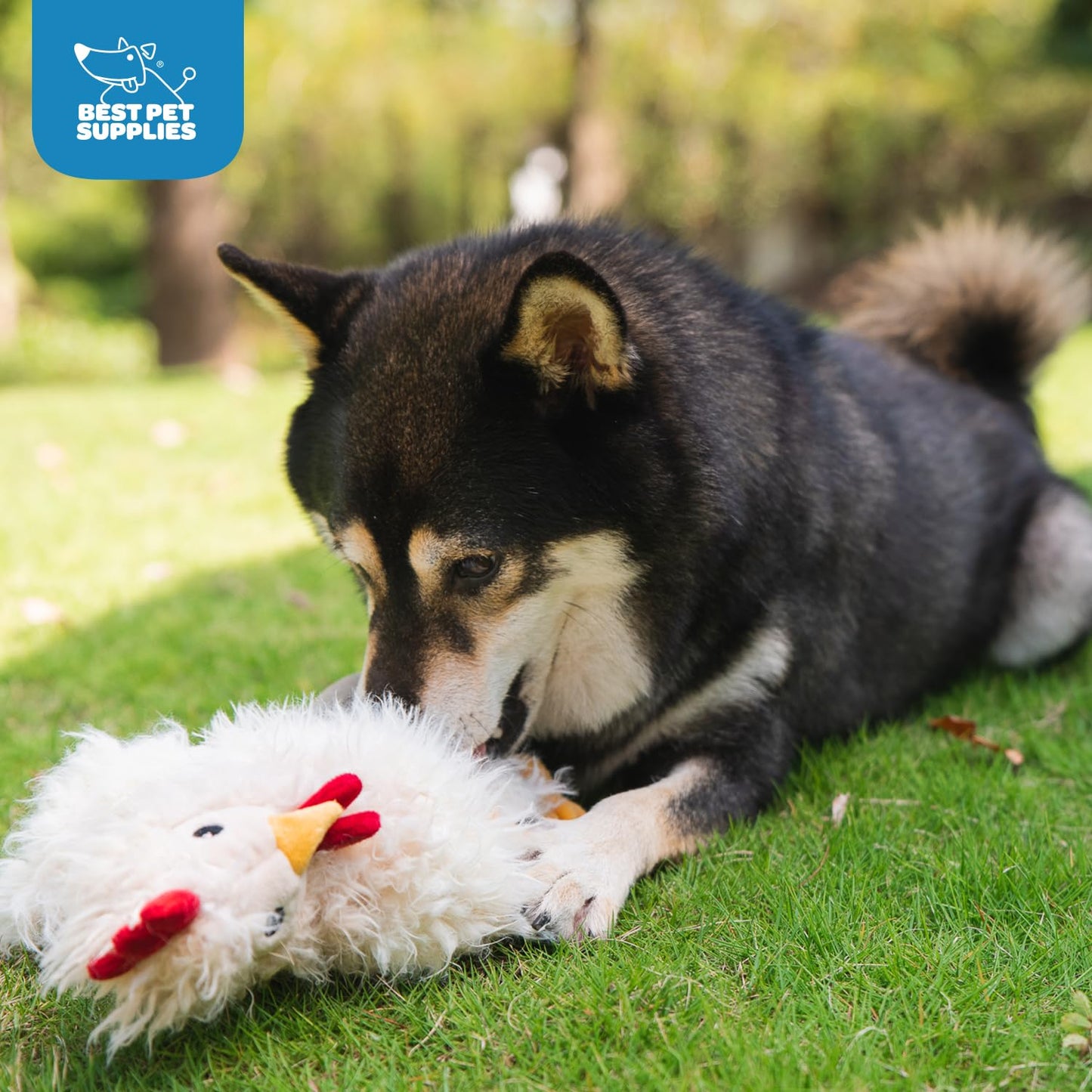 Best Pet Supplies - Juguetes de Peluche para Perros de Pollo Arrugado para Juegos interactivos, Cachorros y Adultos Mayores, Forma de Juguete de Pollo Colorido, Lindo y mimoso, Pollo Arrugado (Beige)