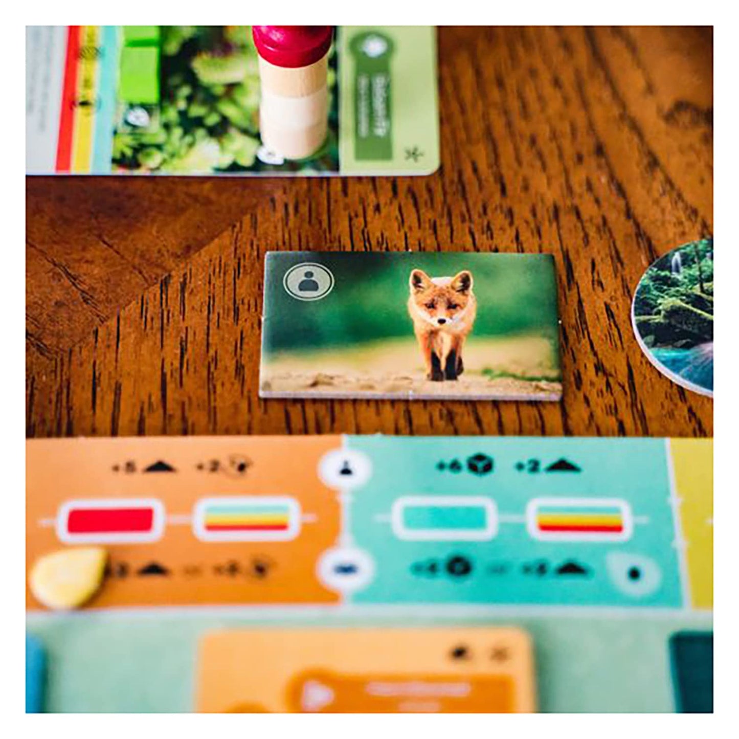 Earth - The Board Game by Inside Up Games & Maxime Tardif, Ecosystem Building, Card Drafting & Action Selecting, for 1 to 5 Players, Play Solo-Multiplayer-Teams, 45-90 Minute Playing Time