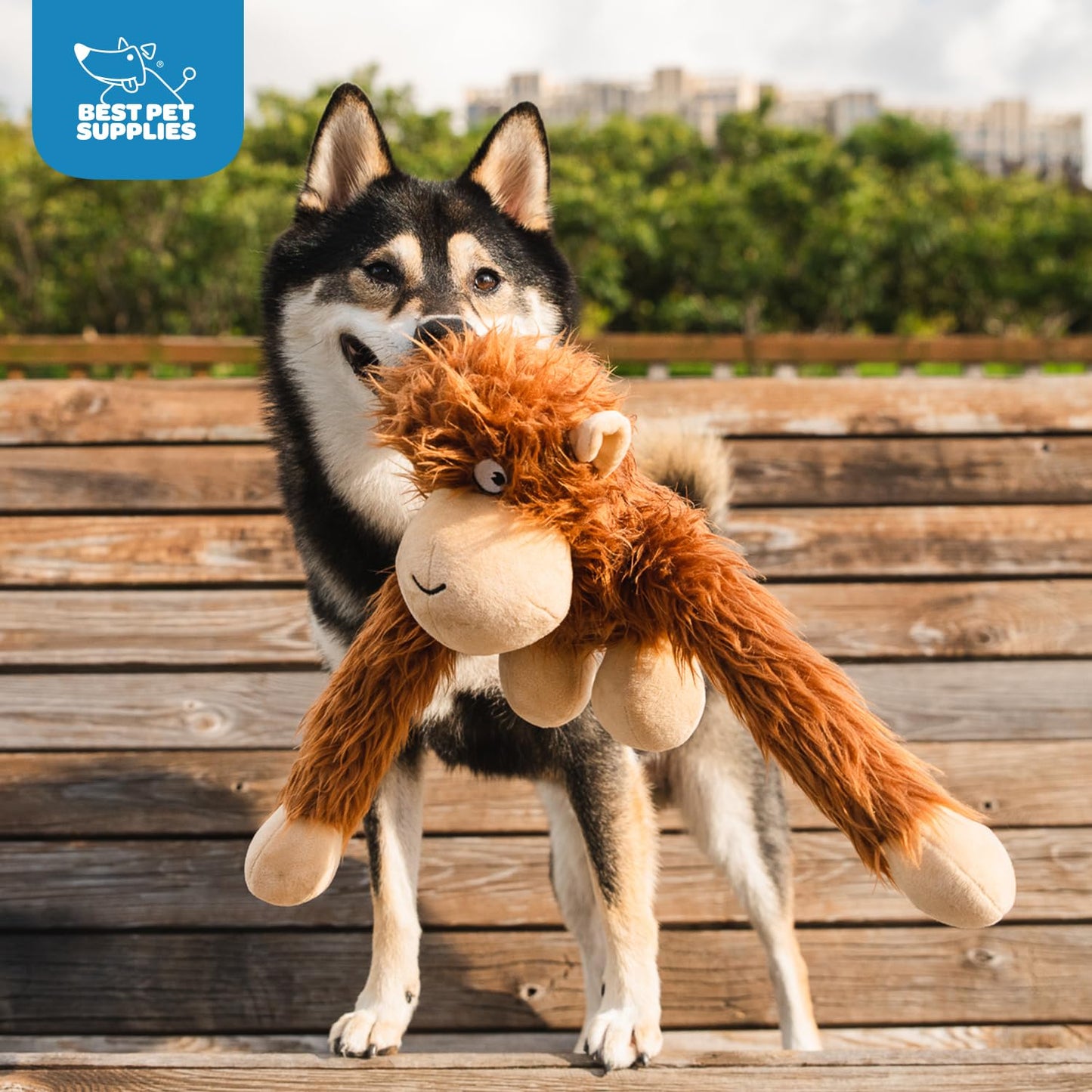 Best Pet Supplies O-Hug-Atan - Juguete Interactivo de Peluche chirriante para Cachorros o Perros de Raza pequeña y Mediana - O-Hug-Atan (café)
