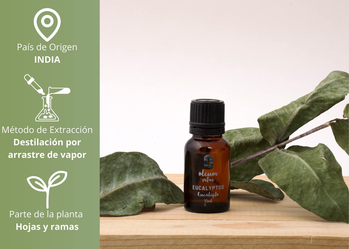 Aceite Esencial OLEUM VITAE Eucalipto Puro Orgánico 15 ml Certificado USDA ORGANIC Hecho en India