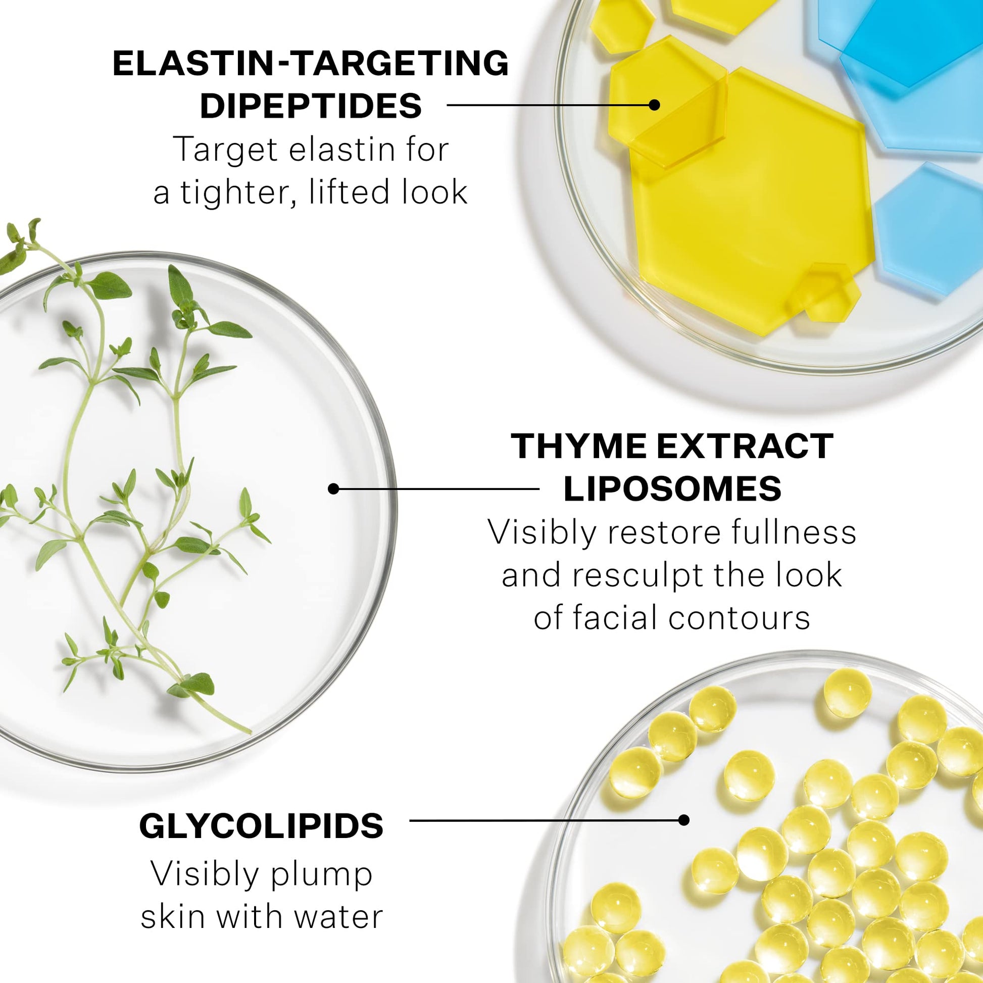 Crema Facial Hidratante StriVectin Contour Restore Reafirmante