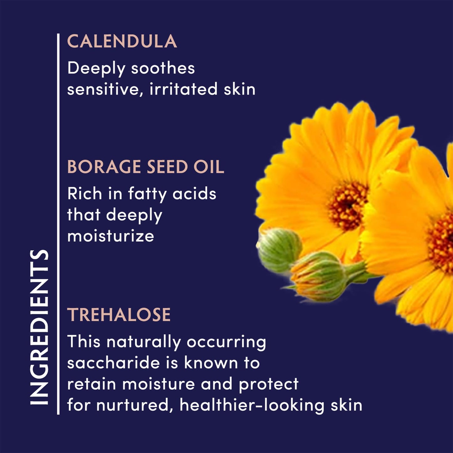 Naturopathica Calendula Essential Hydrating Cream 1.7oz.
