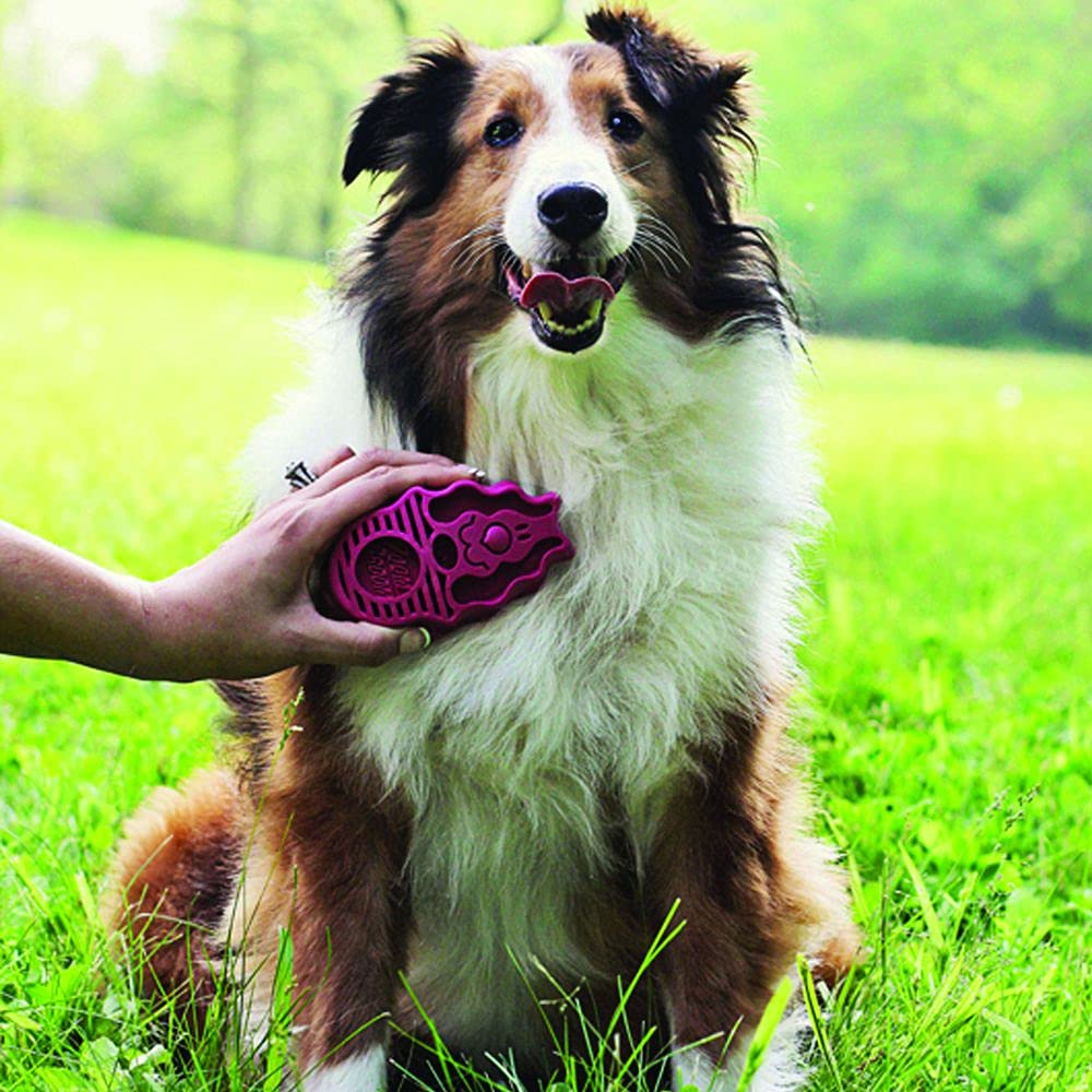 Cepillo Zoomgroom Frambuesa para Perros