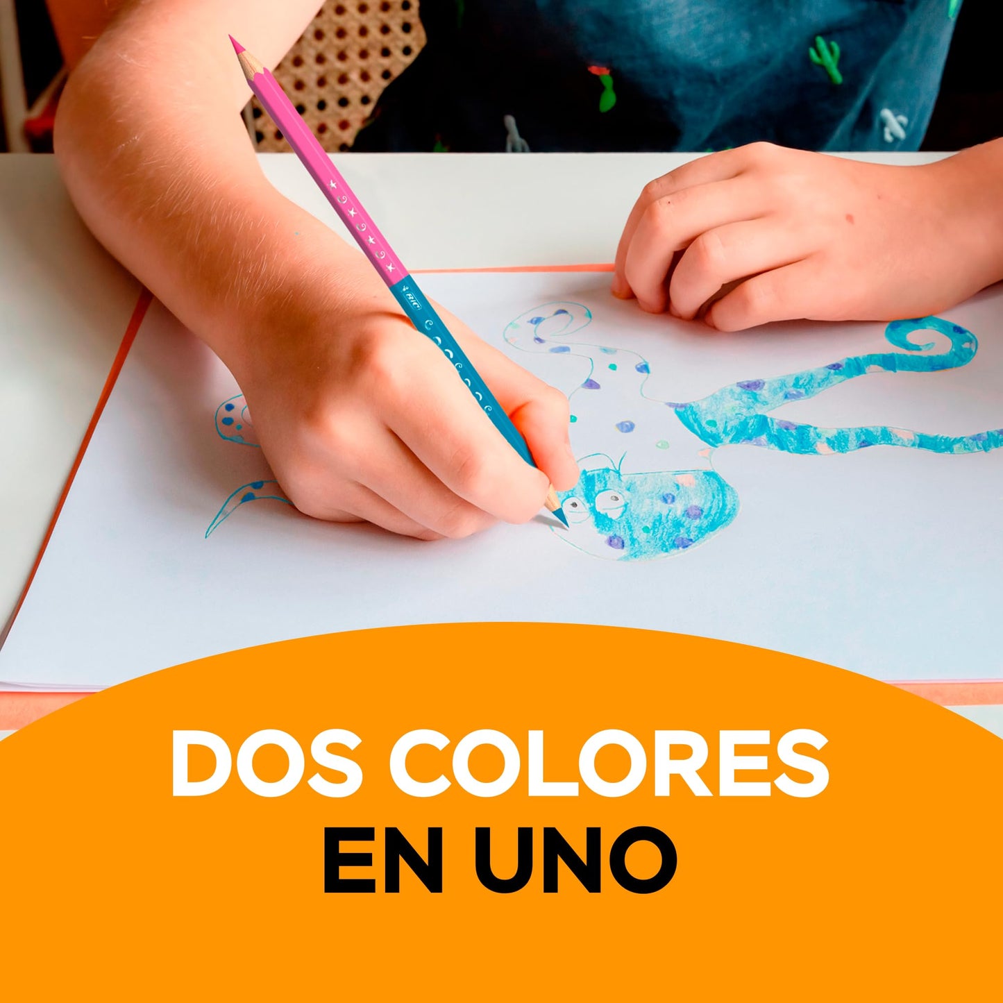 BIC Lápices de Colores Evolution Bicolor Colores Intensos Punta Resistente Madera Surtido de Colores 24 Piezas