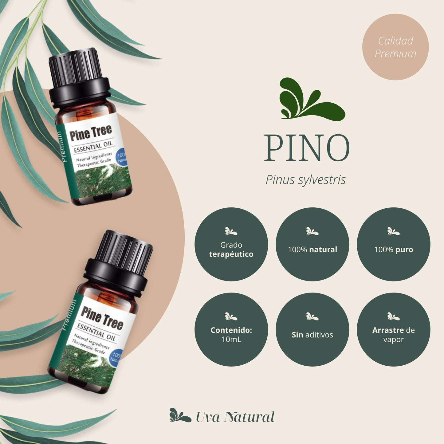 Aceites Esenciales Aromaterapia Uva Natural Pino Conjunto con Caja de Regalo Exquisita 10 ML