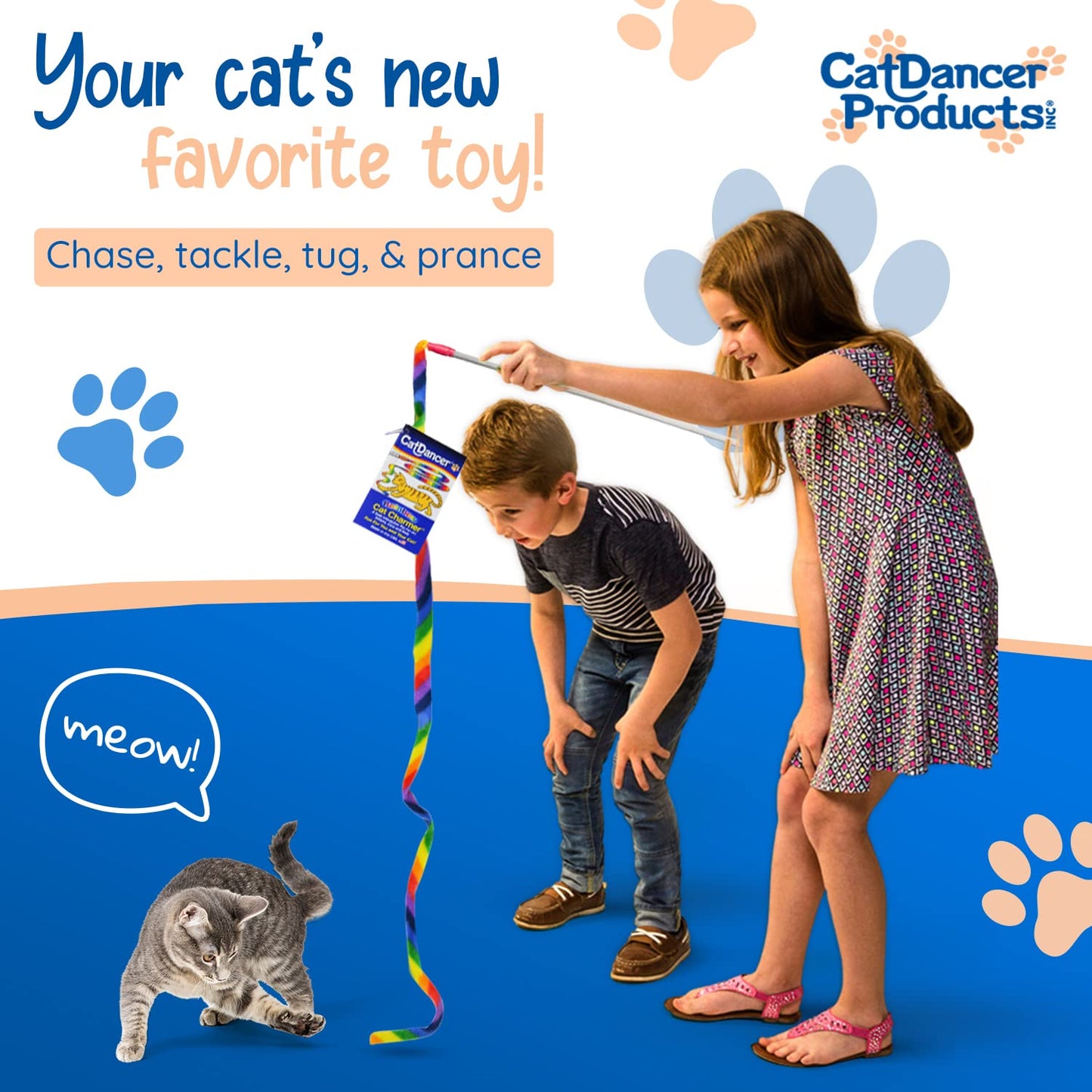 Cat Dancer Products Rainbow Cat Charmer