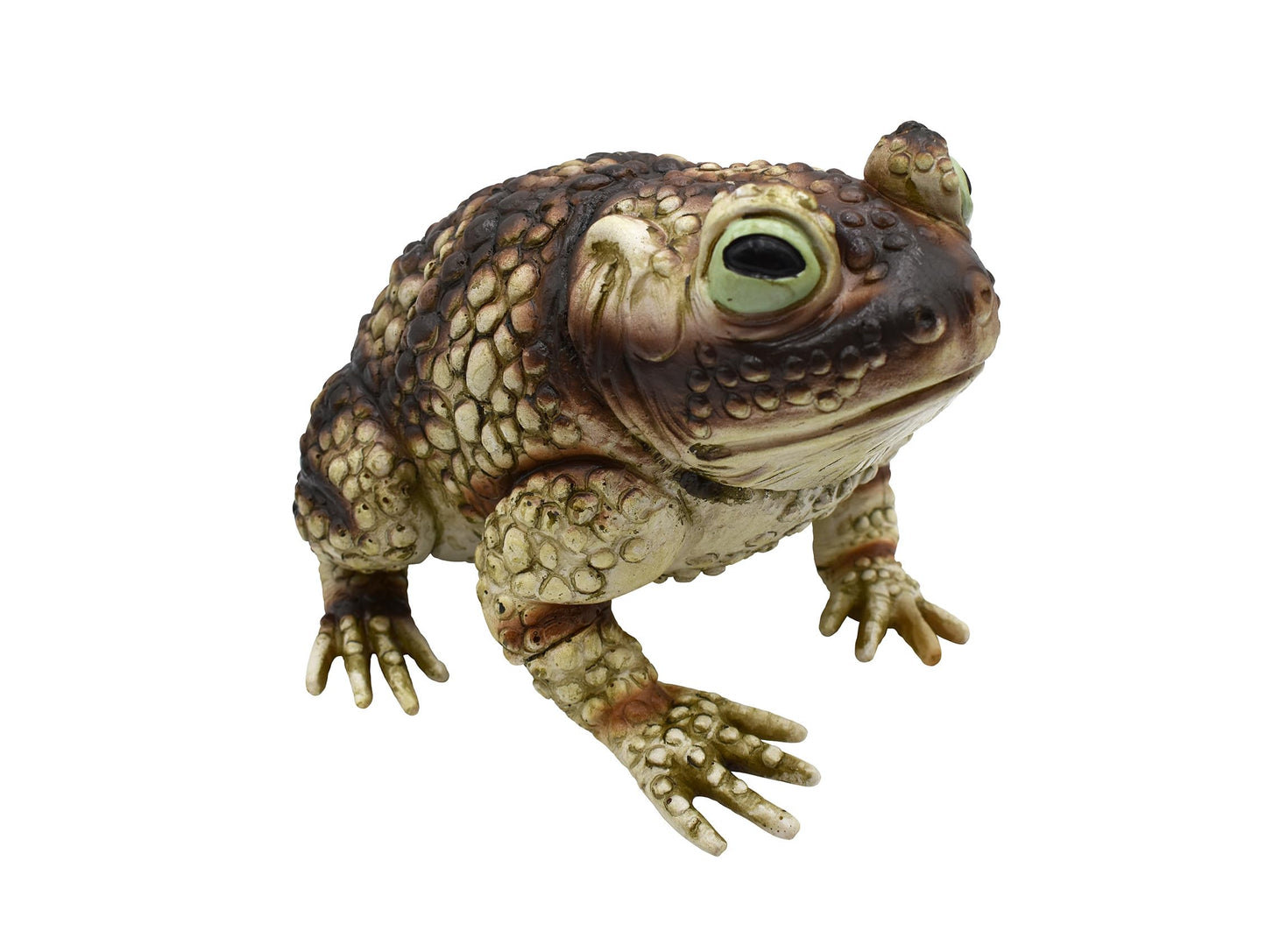 Nicky Bigs Novelties Giant Rubber Toad Prop Decoration, Multi, 25cm Long