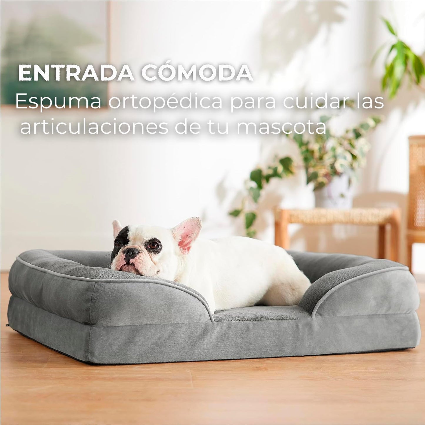 Cama para perro mediano PREMIUM - cama Para mascota transpirable e impermeable, Sofa cama perro con soporte para cabeza, funda extraible lavable y antideslizante en la parte inferior (GRIS, MEDIANA)