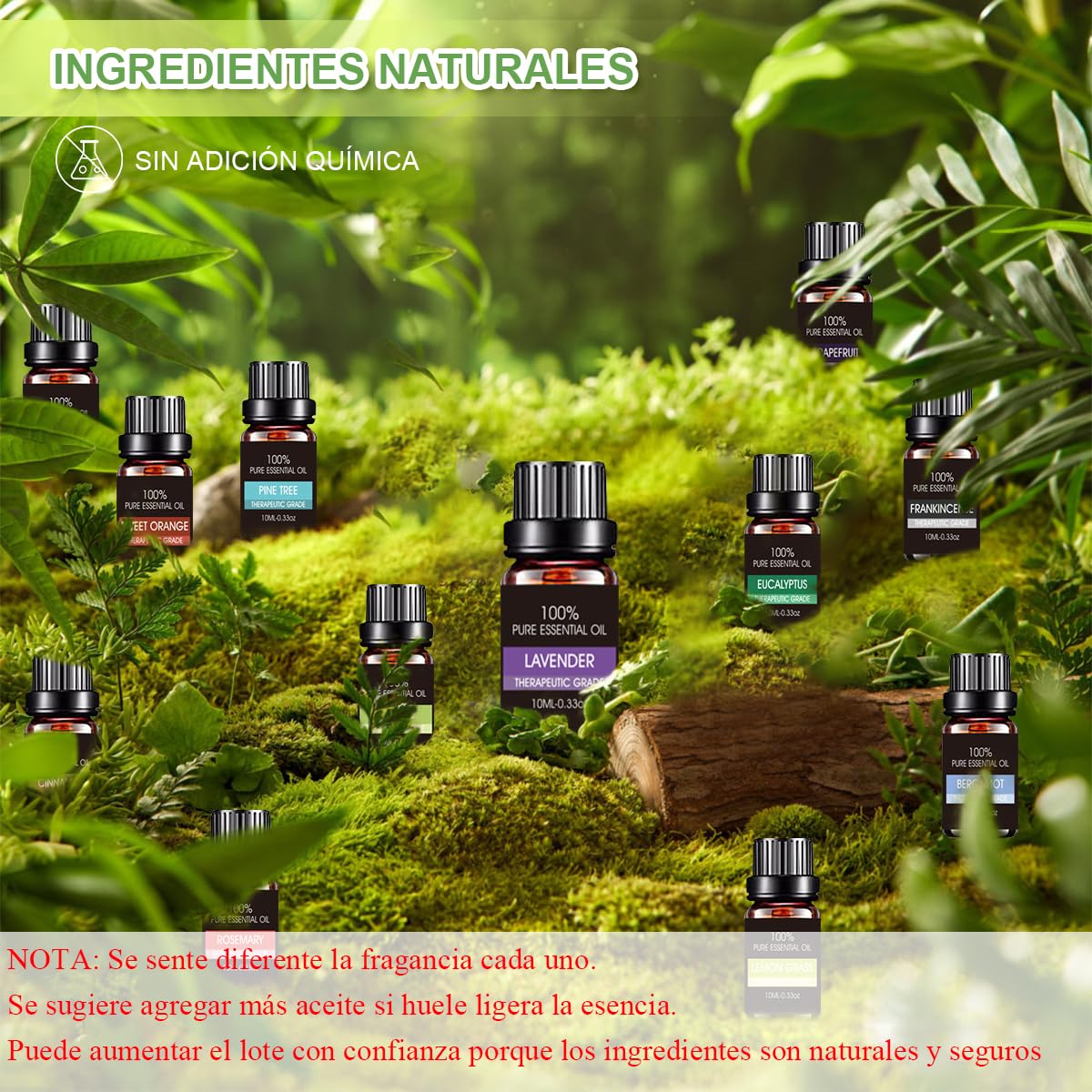 Aceites Esenciales VIDA4U 12 Piezas Naturales para Difusores y Humidificadores