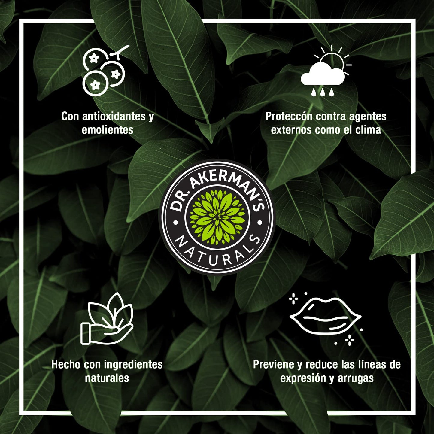 Bálsamo Labial Dr. Akerman's Natural Humectante Protección Mixto 4-Pack